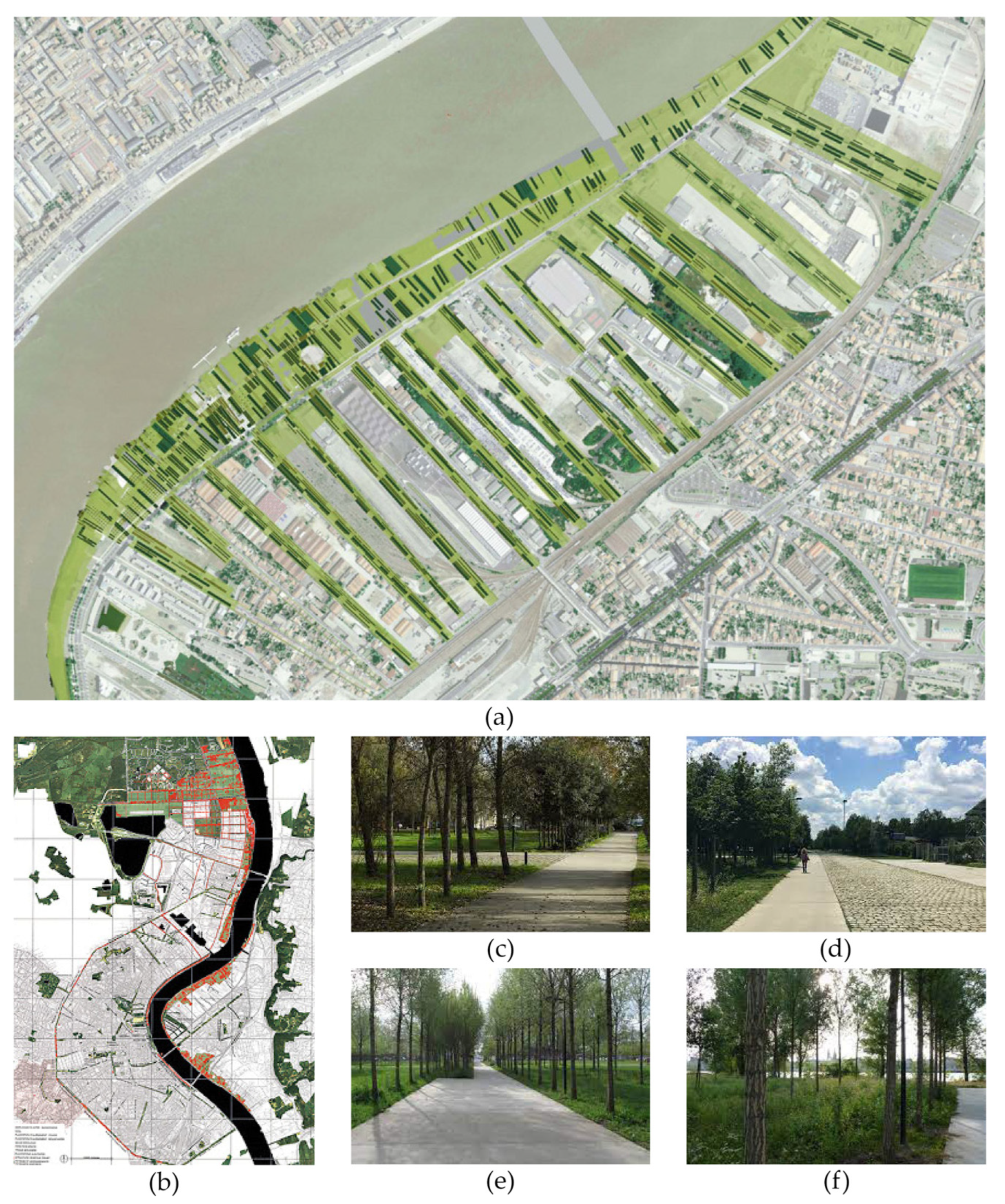 Land 11 00908 g005