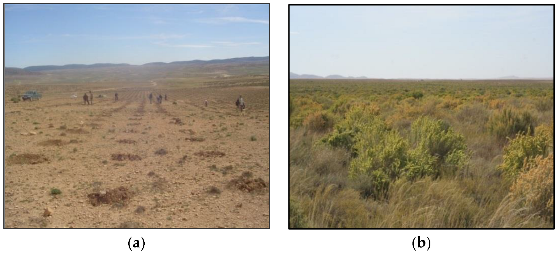 Land 11 00948 g008