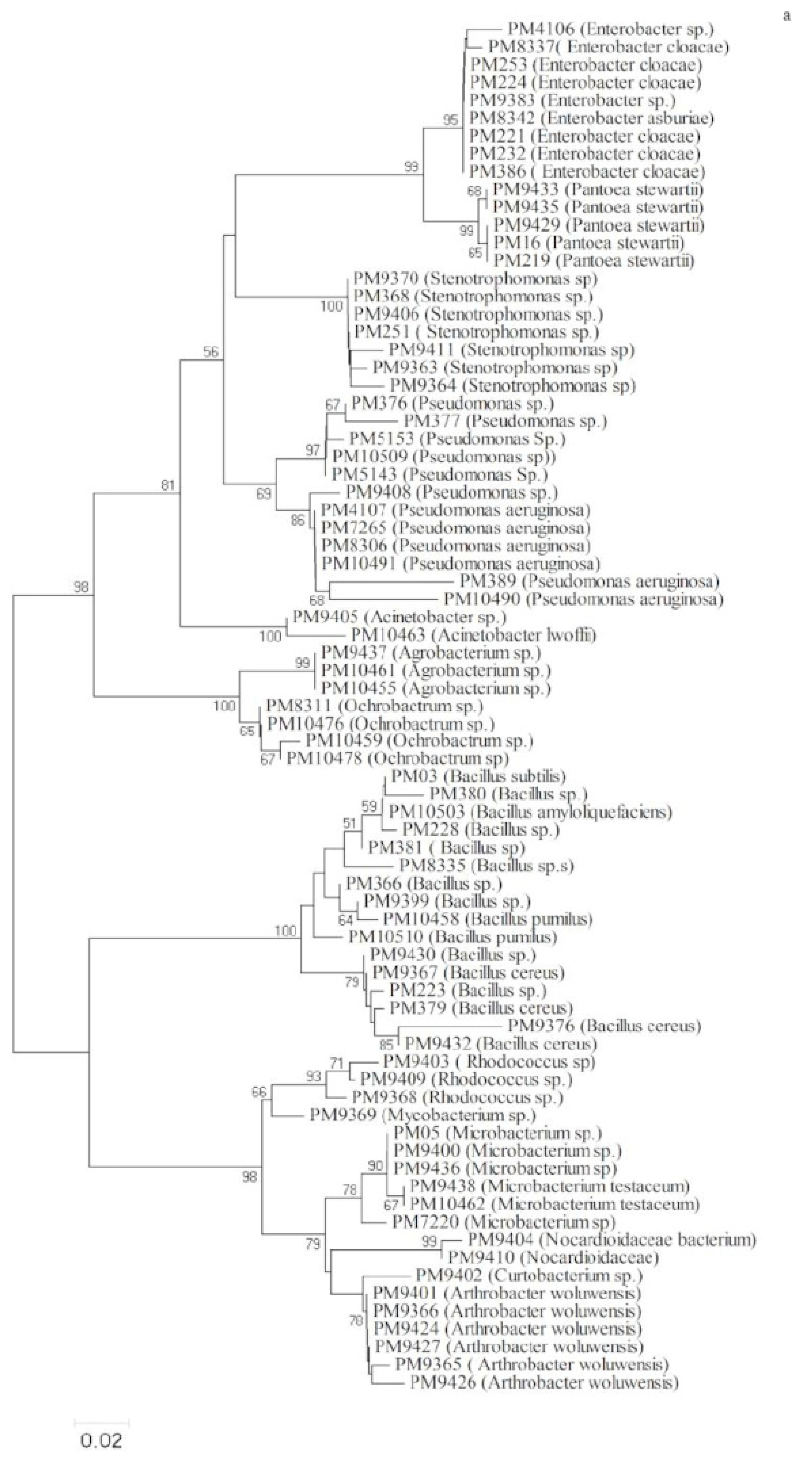 Land 11 00991 g003a Land 11 00991 g003a