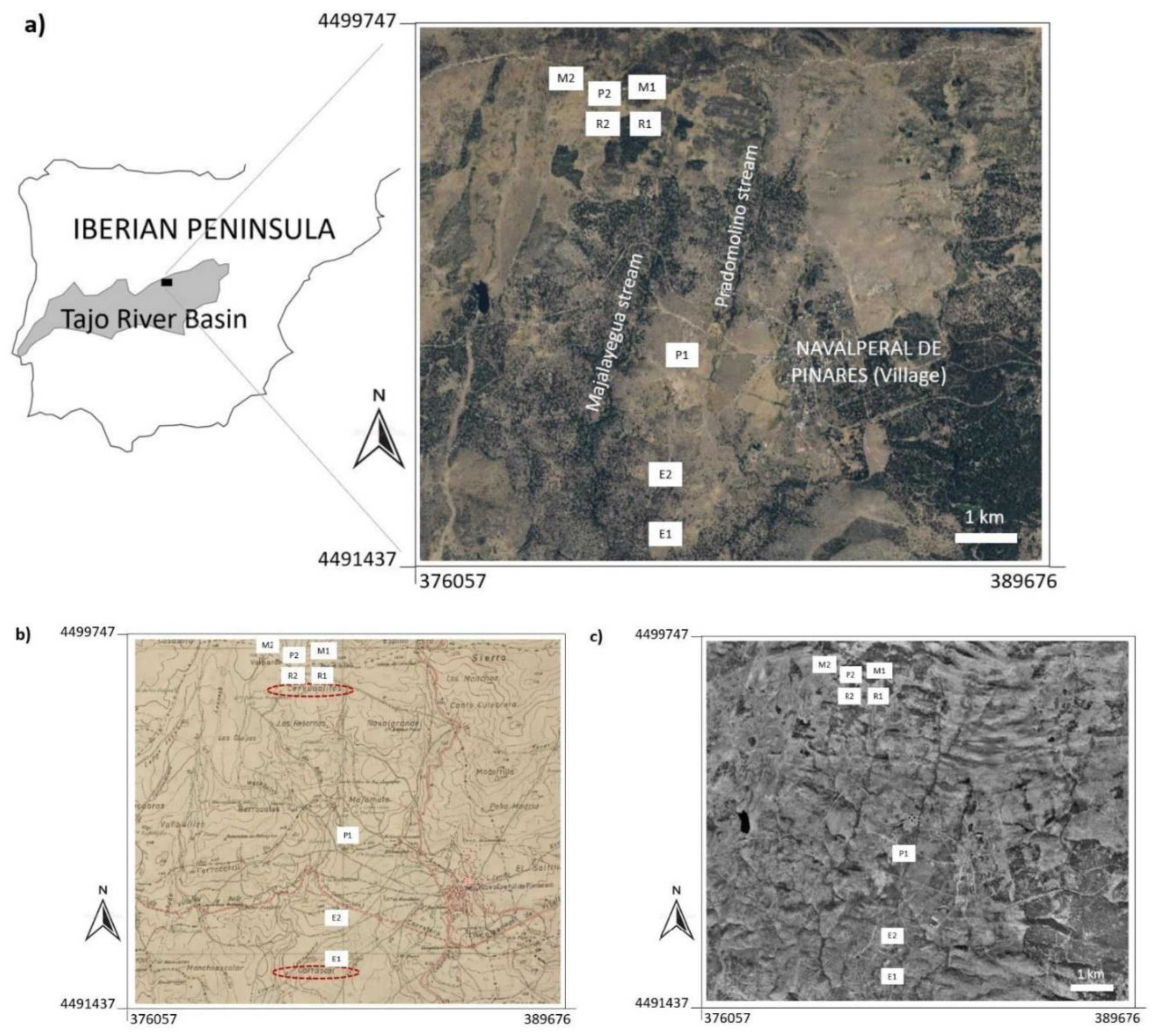Land 11 01043 g001 Land 11 01043 g001