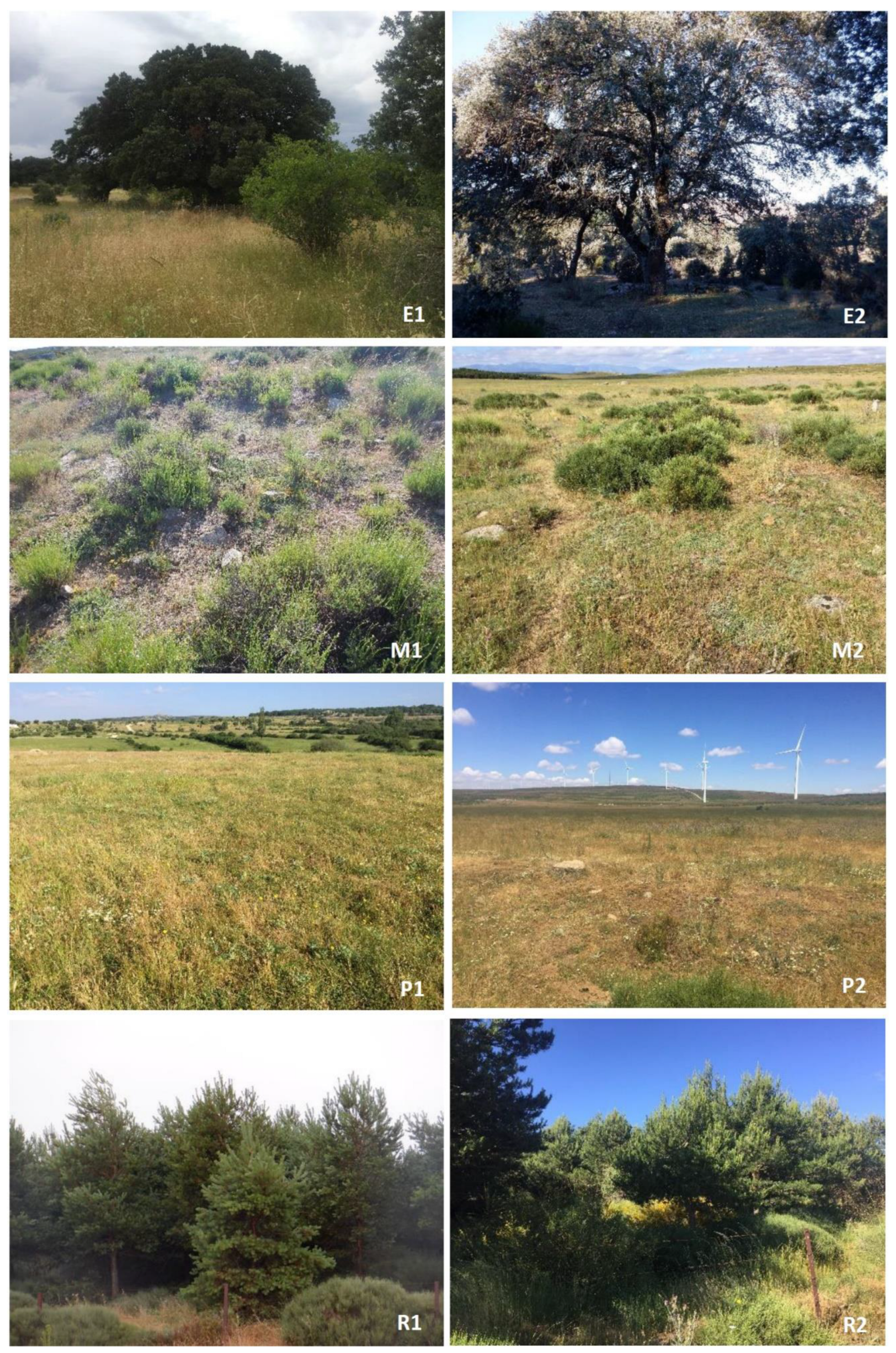 Land 11 01043 g002 Land 11 01043 g002