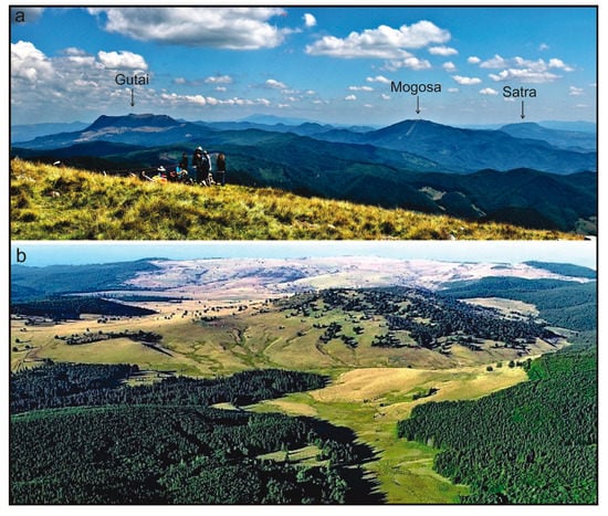 Land 11 01064 g005 550