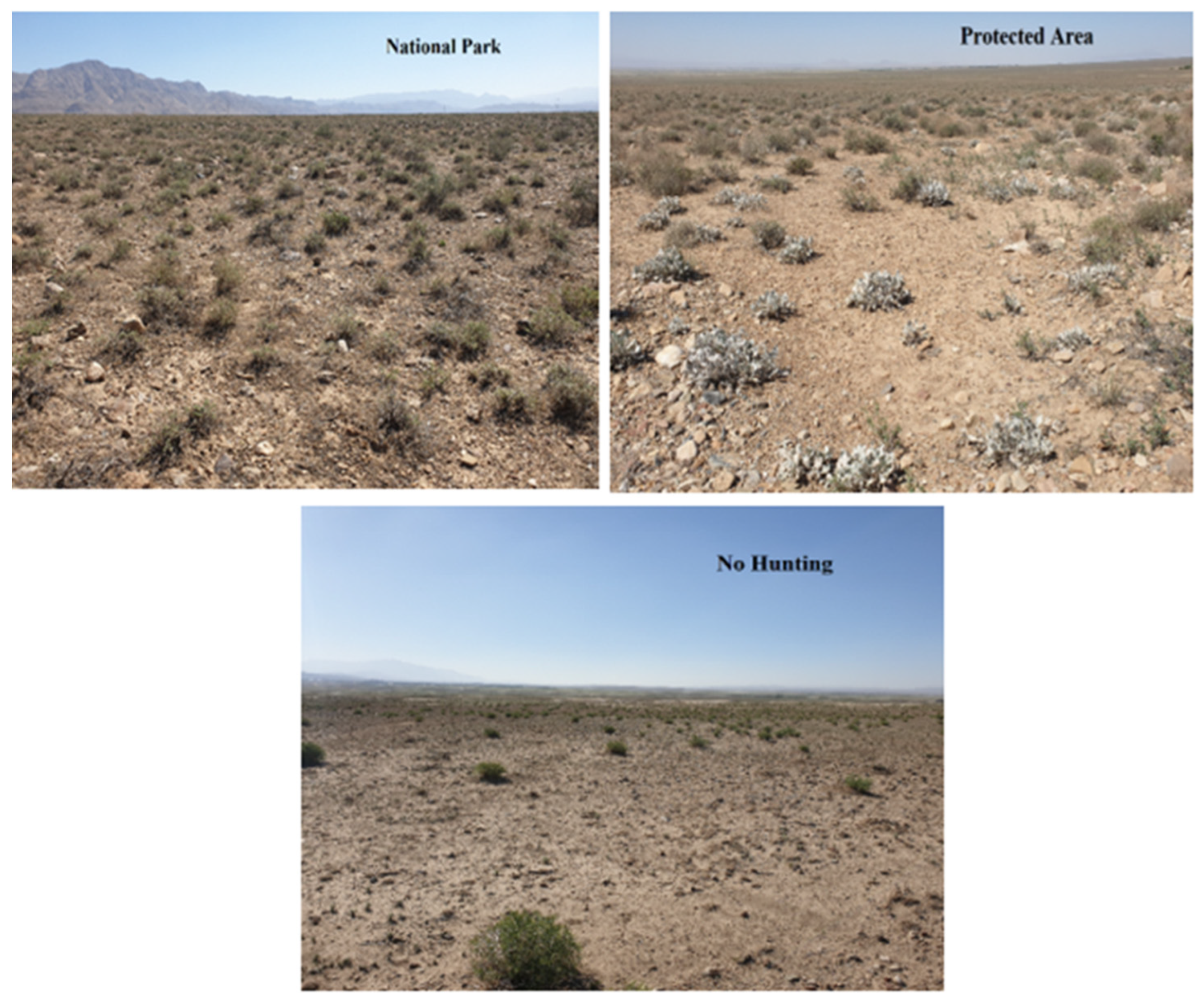 Land 11 01537 g002