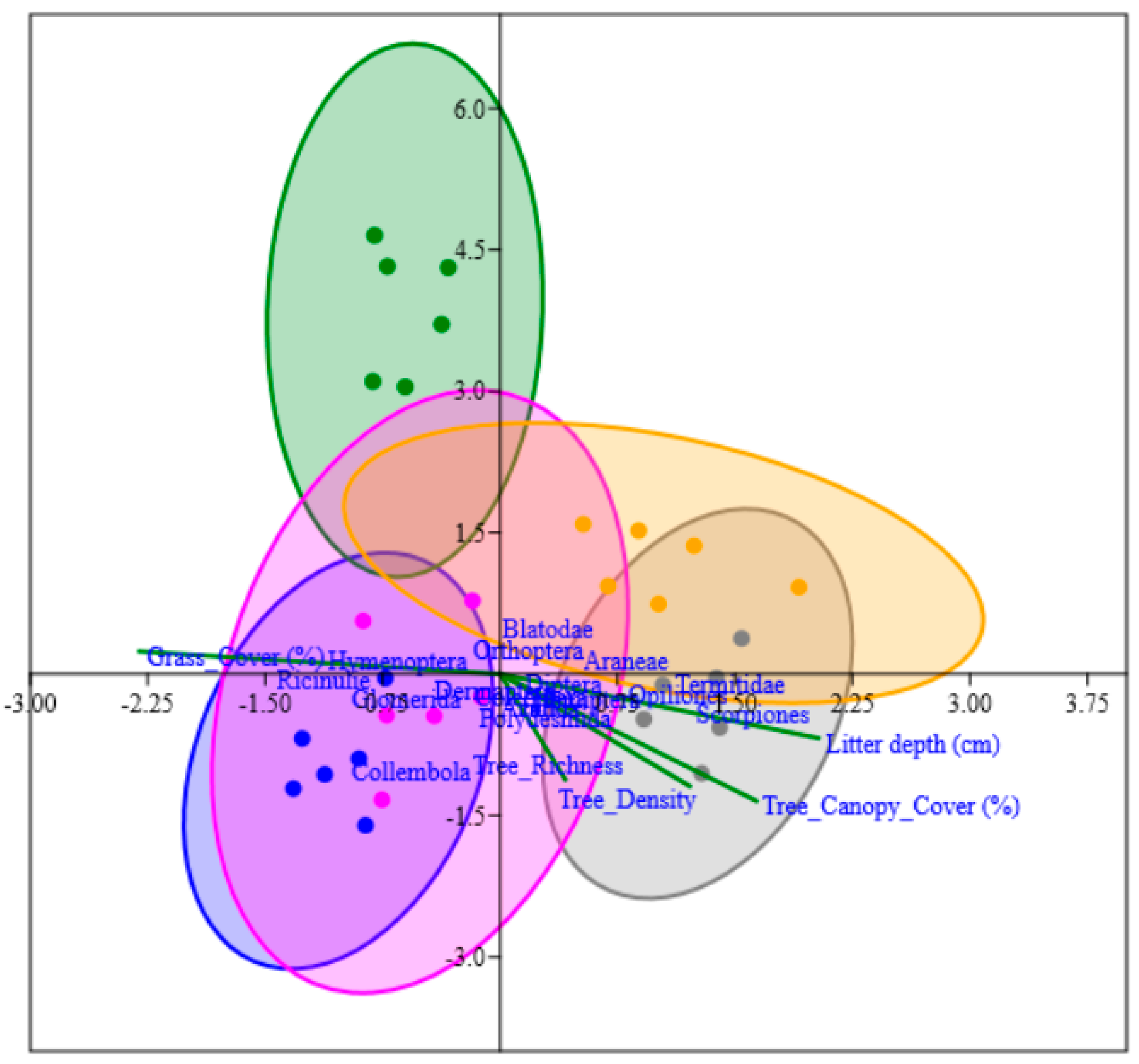 Land 11 01774 g004 Land 11 01774 g004