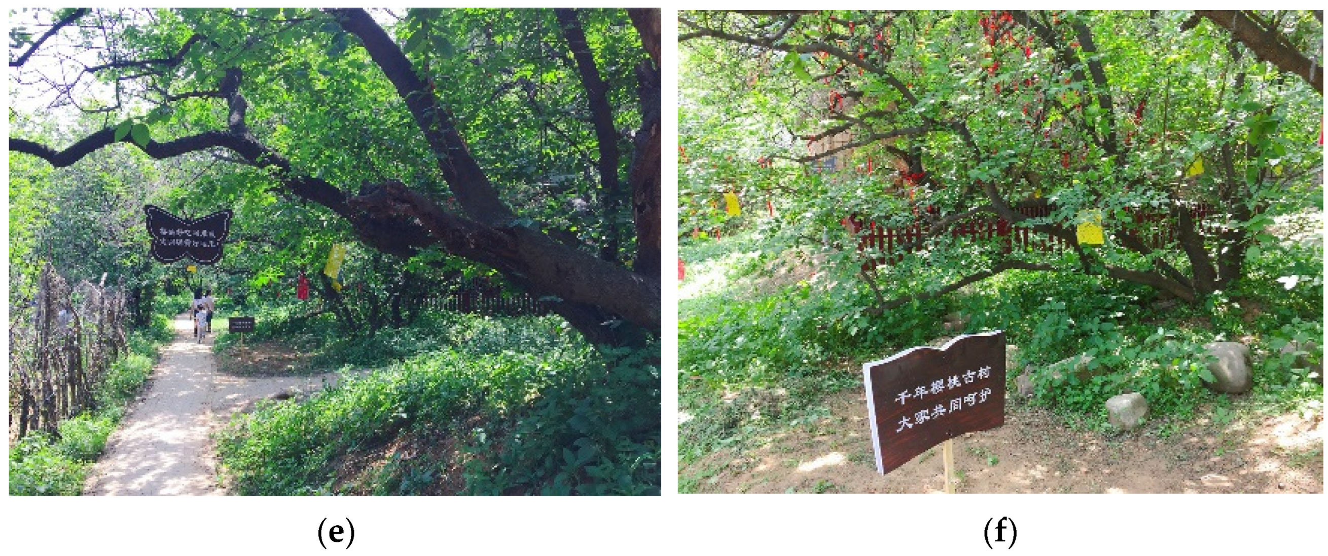 Land 11 01863 g008b