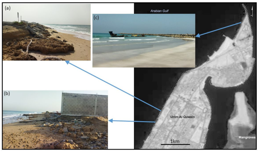Land 11 02024 g011 Land 11 02024 g011