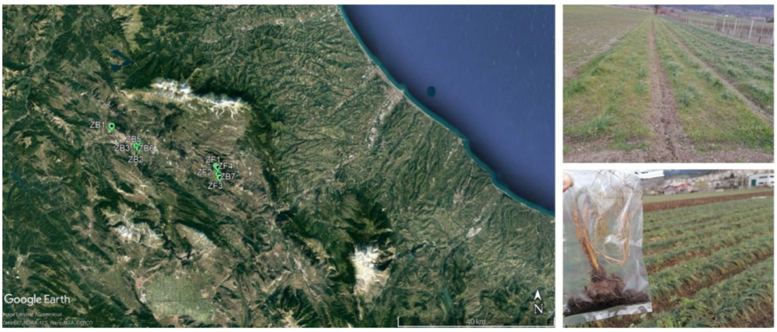 Land 11 02048 g001 Land 11 02048 g001
