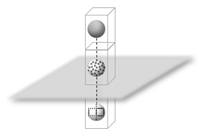 Land 11 02198 i003 Land 11 02198 i003