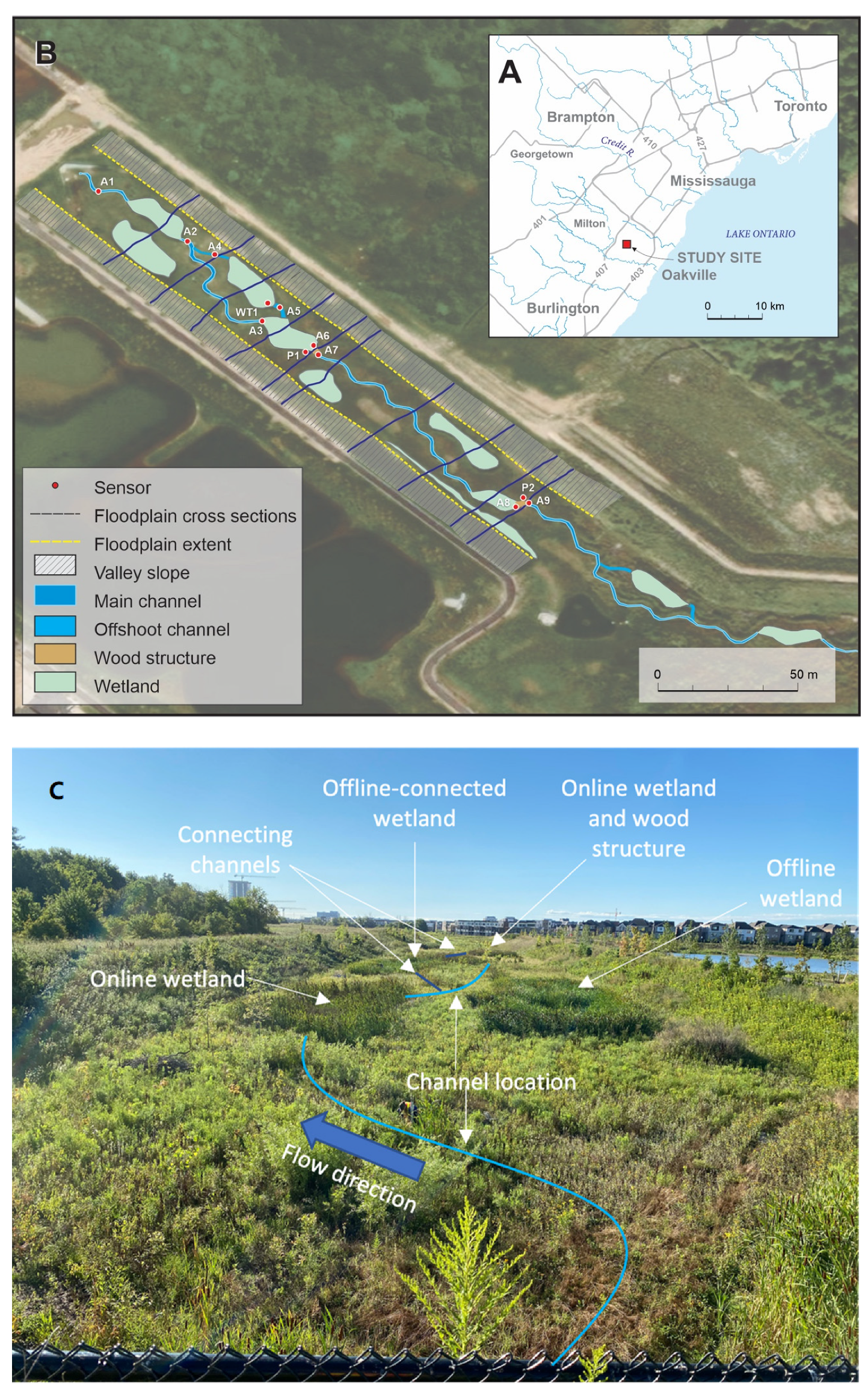 Land 11 02256 g001 Land 11 02256 g001