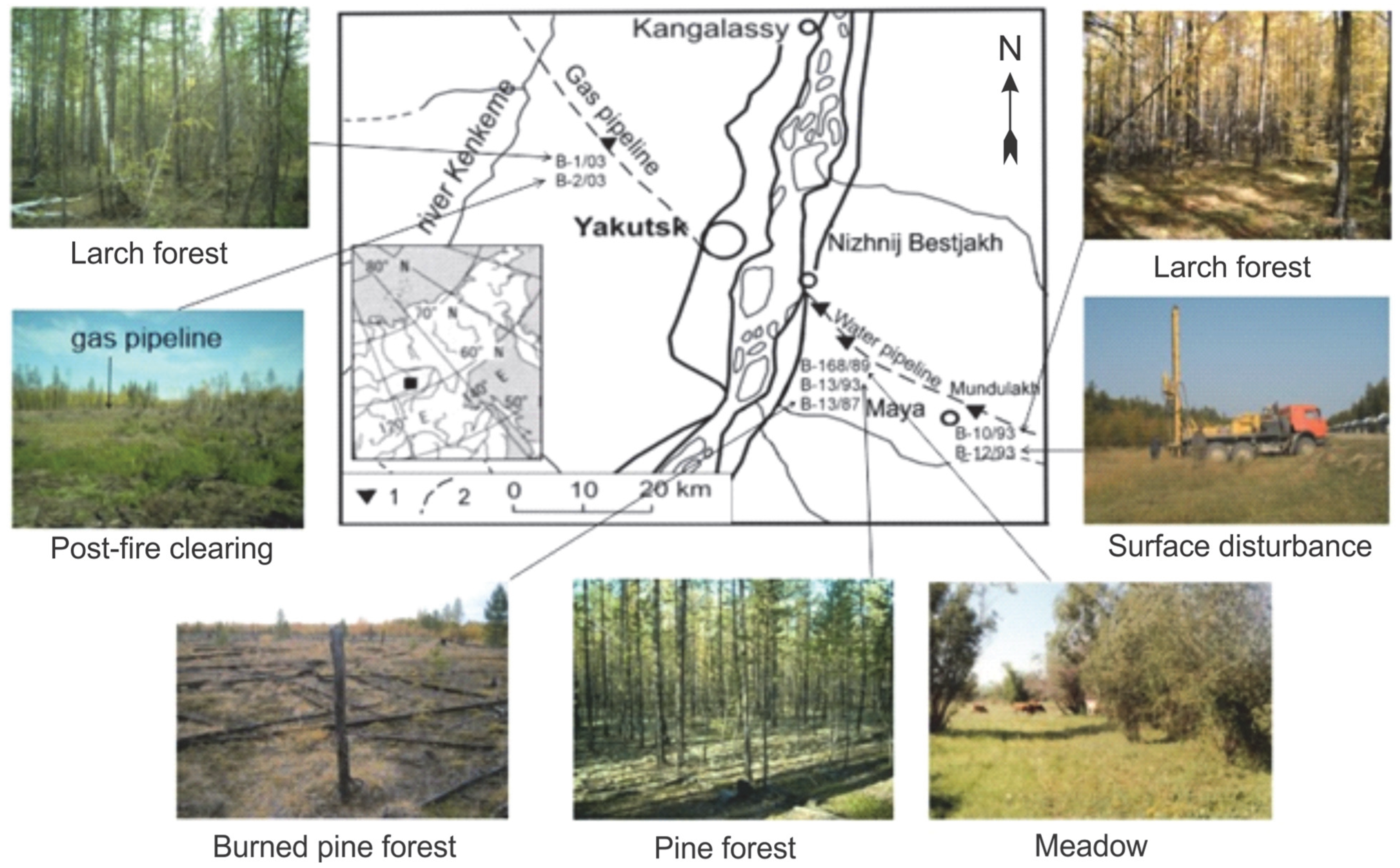 Land 11 02331 g001 Land 11 02331 g001