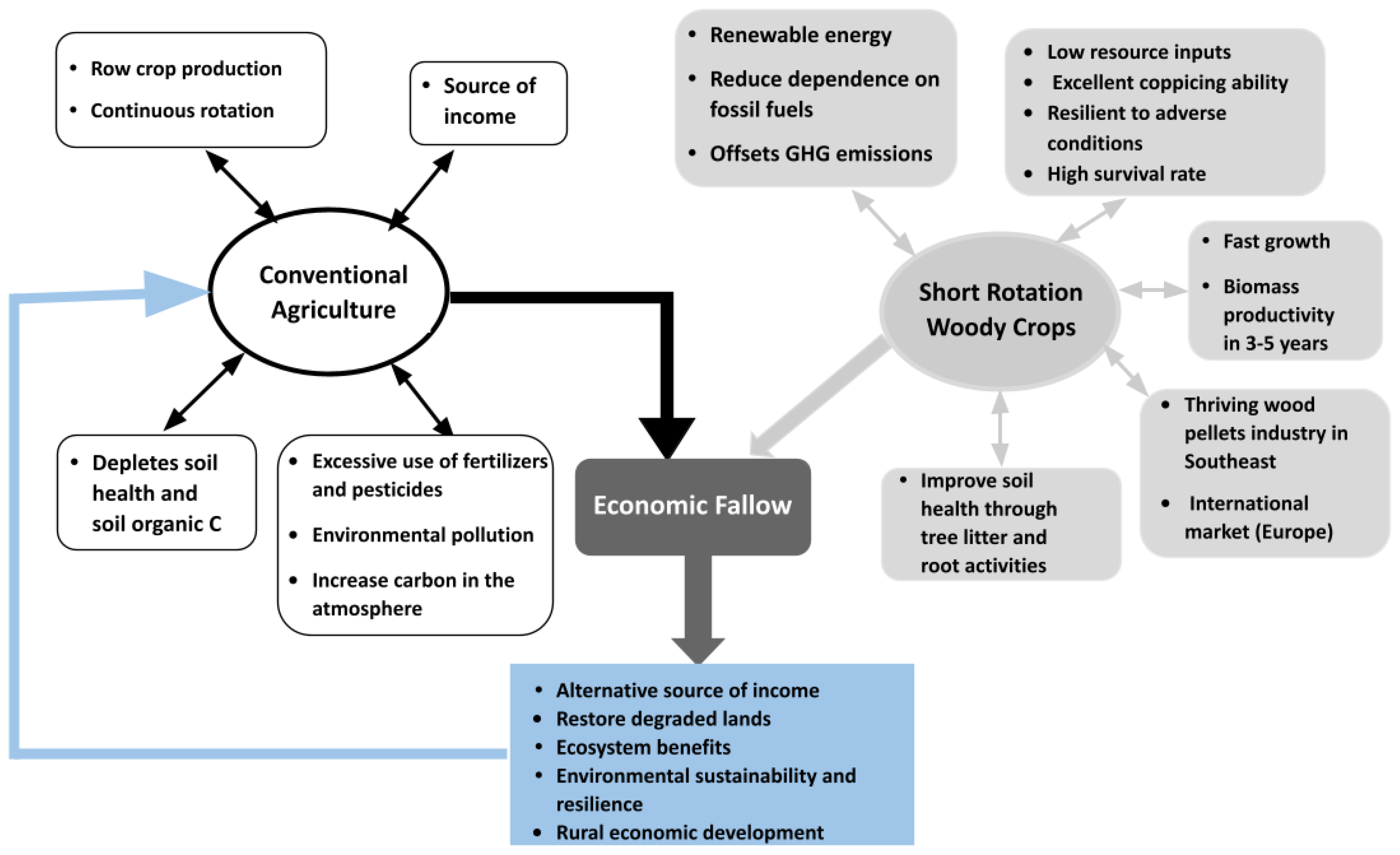 Land 12 00010 g001 Land 12 00010 g001