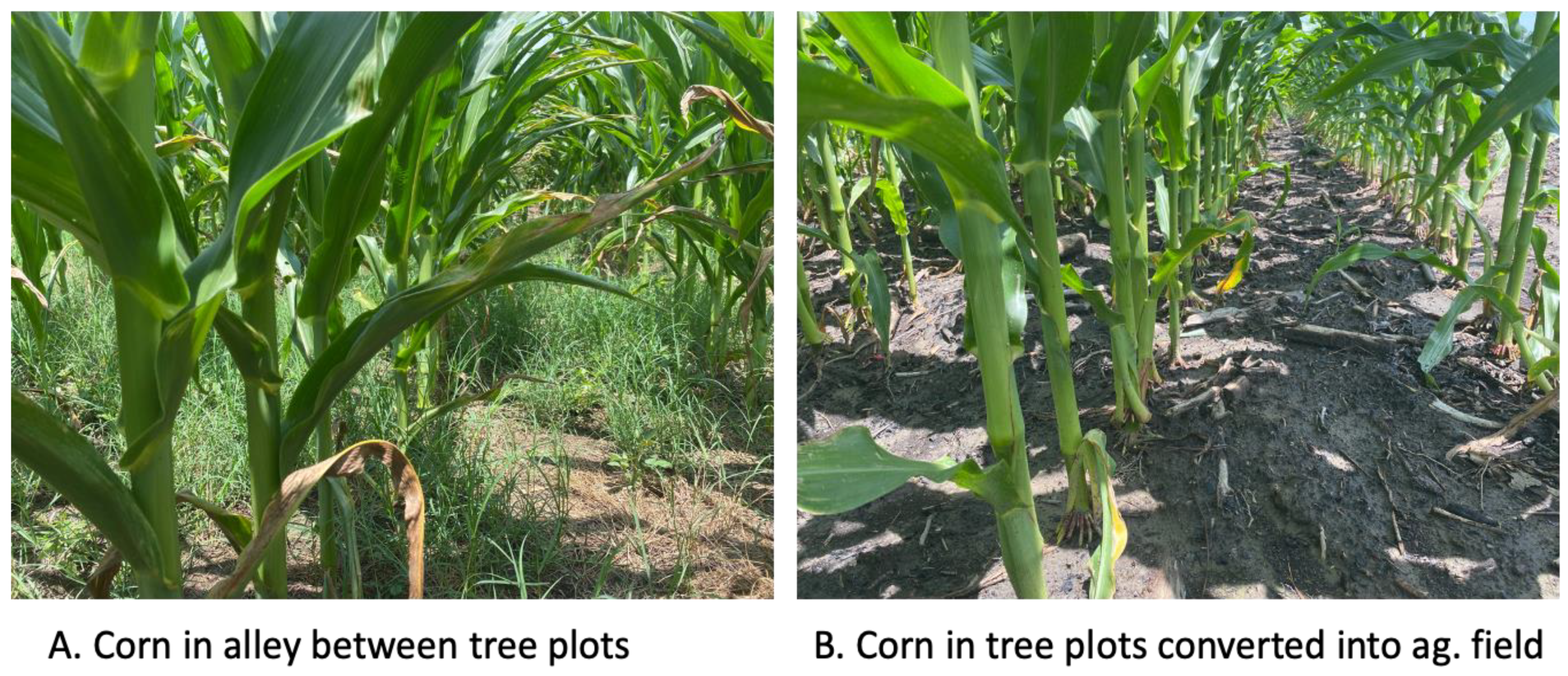 Land 12 00010 g002 Land 12 00010 g002