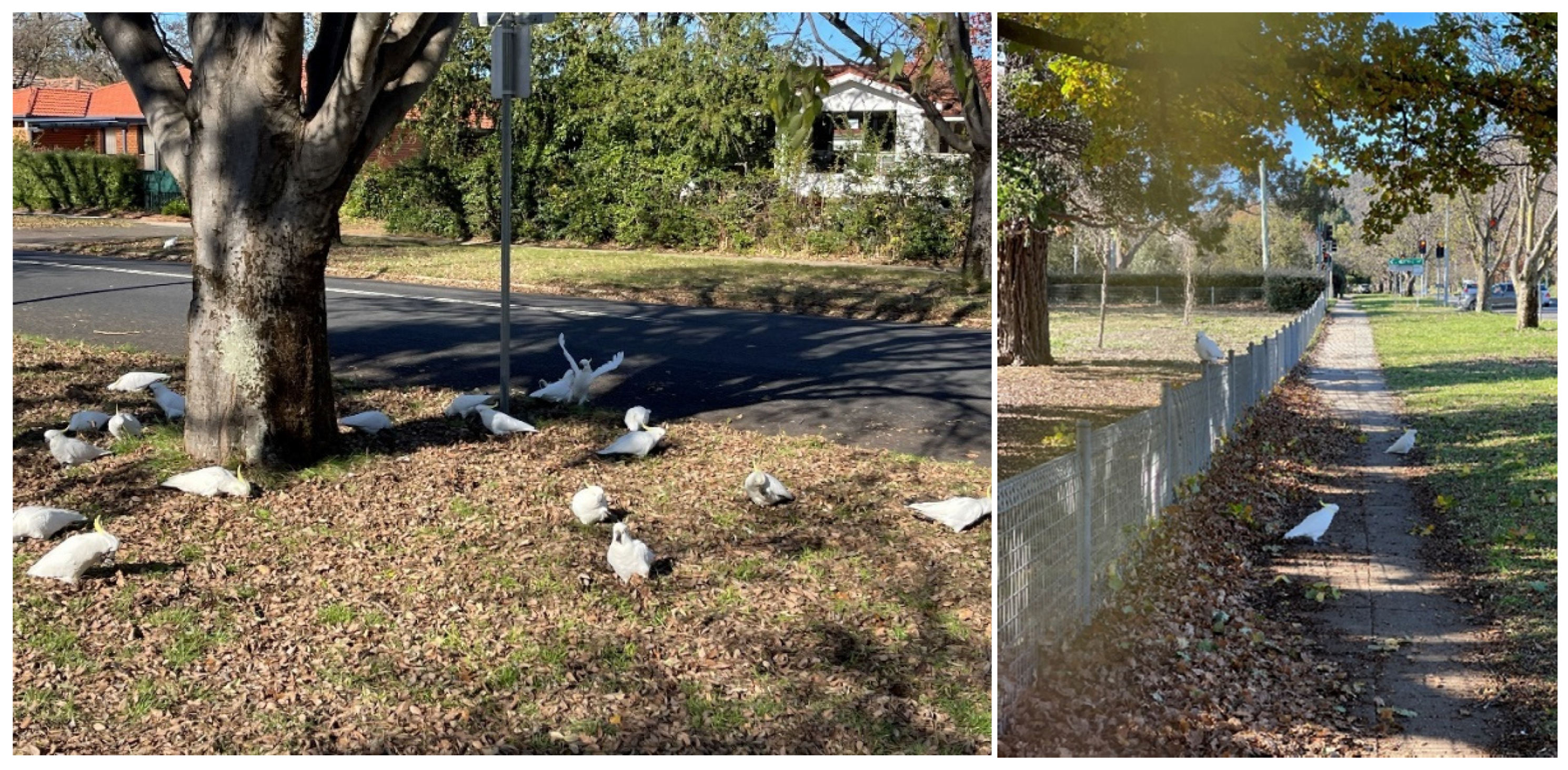 Land 12 00039 g004 Land 12 00039 g004