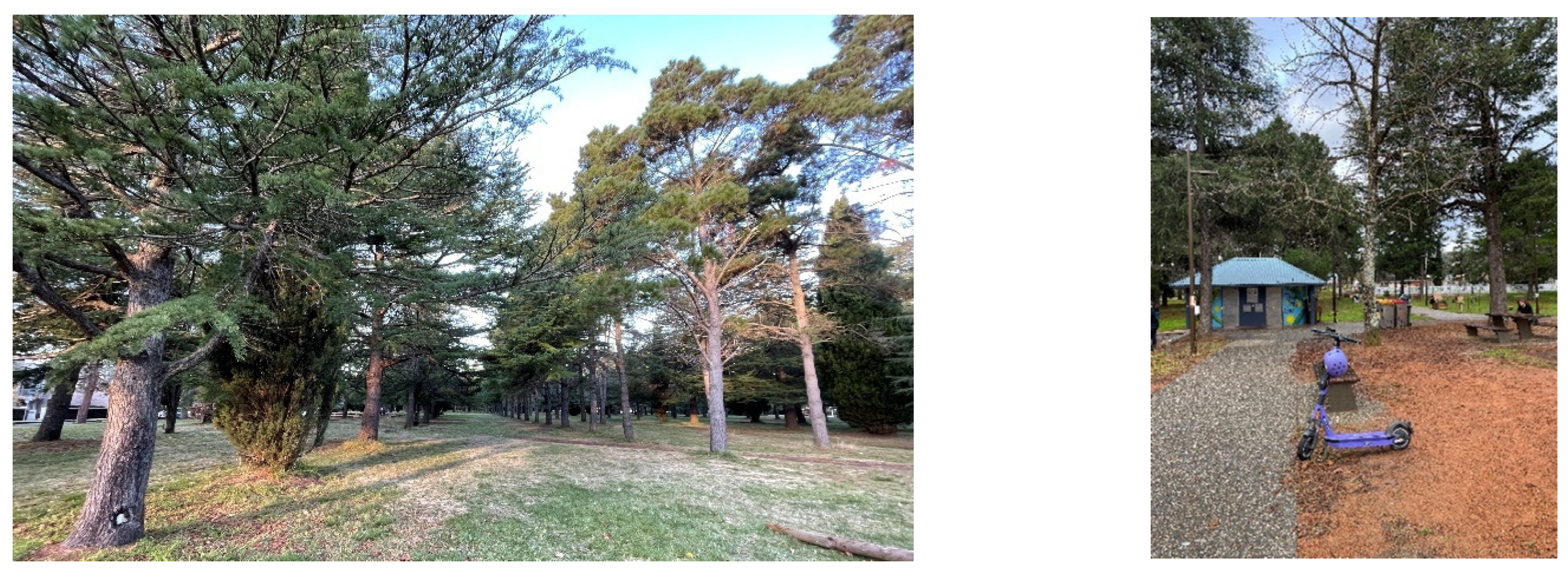 Land 12 00039 g007 Land 12 00039 g007