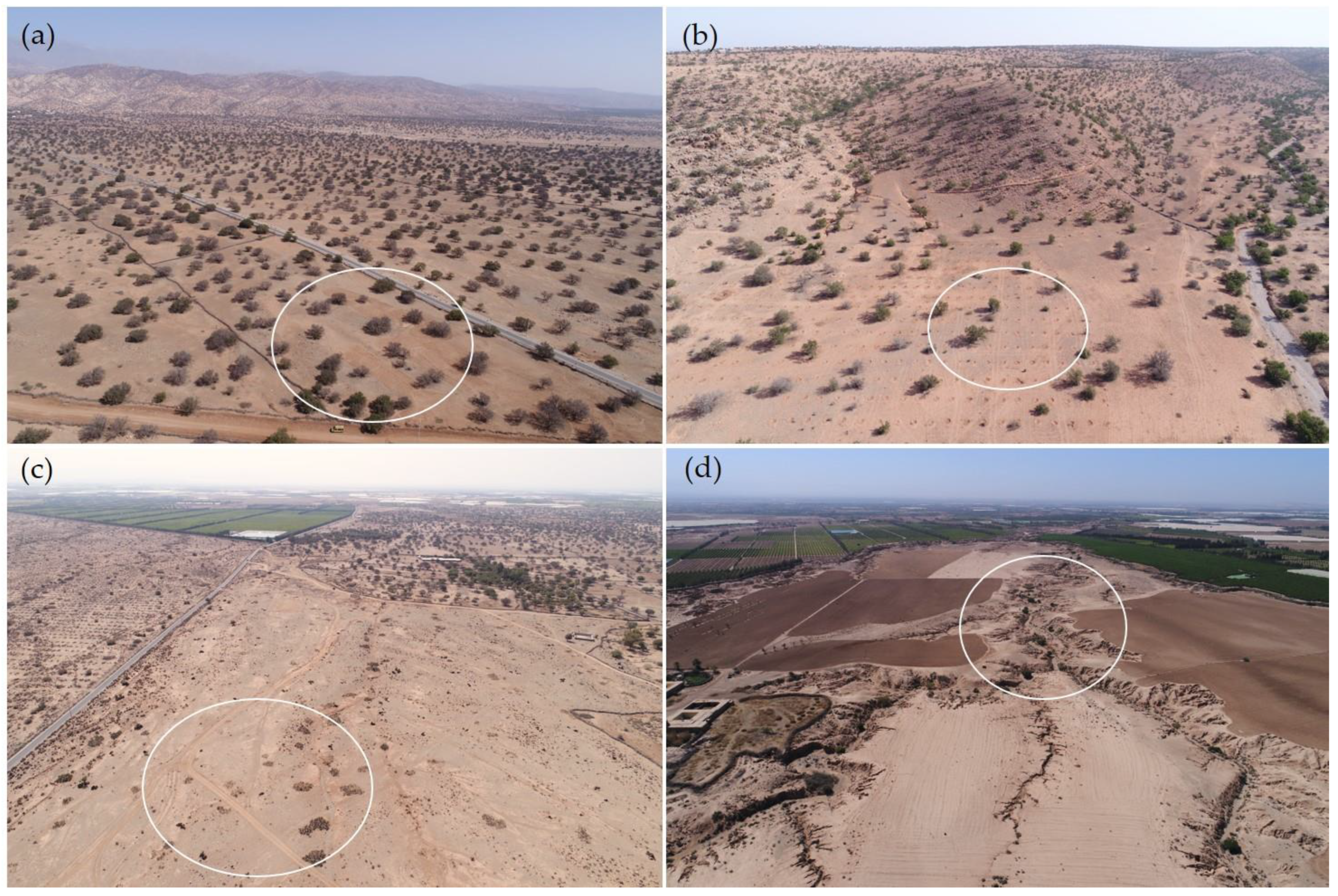 Land 12 00040 g002 Land 12 00040 g002