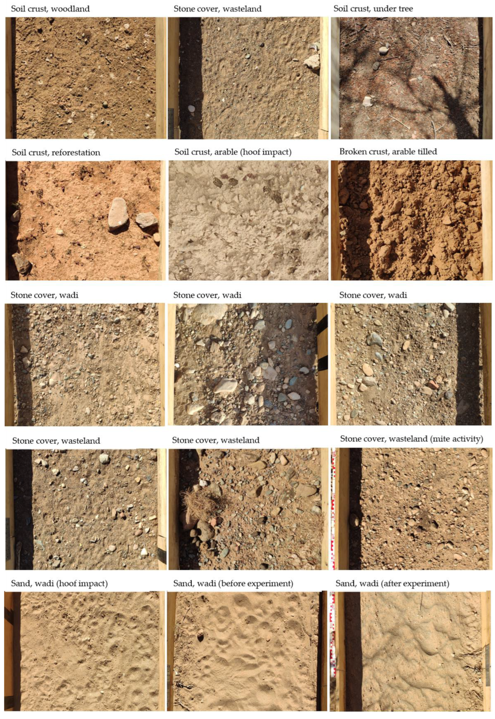 Land 12 00040 g004 Land 12 00040 g004