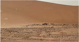 Land 12 00307 i004 Land 12 00307 i004