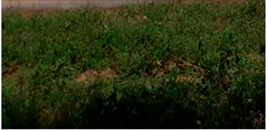 Land 12 00307 i006 Land 12 00307 i006