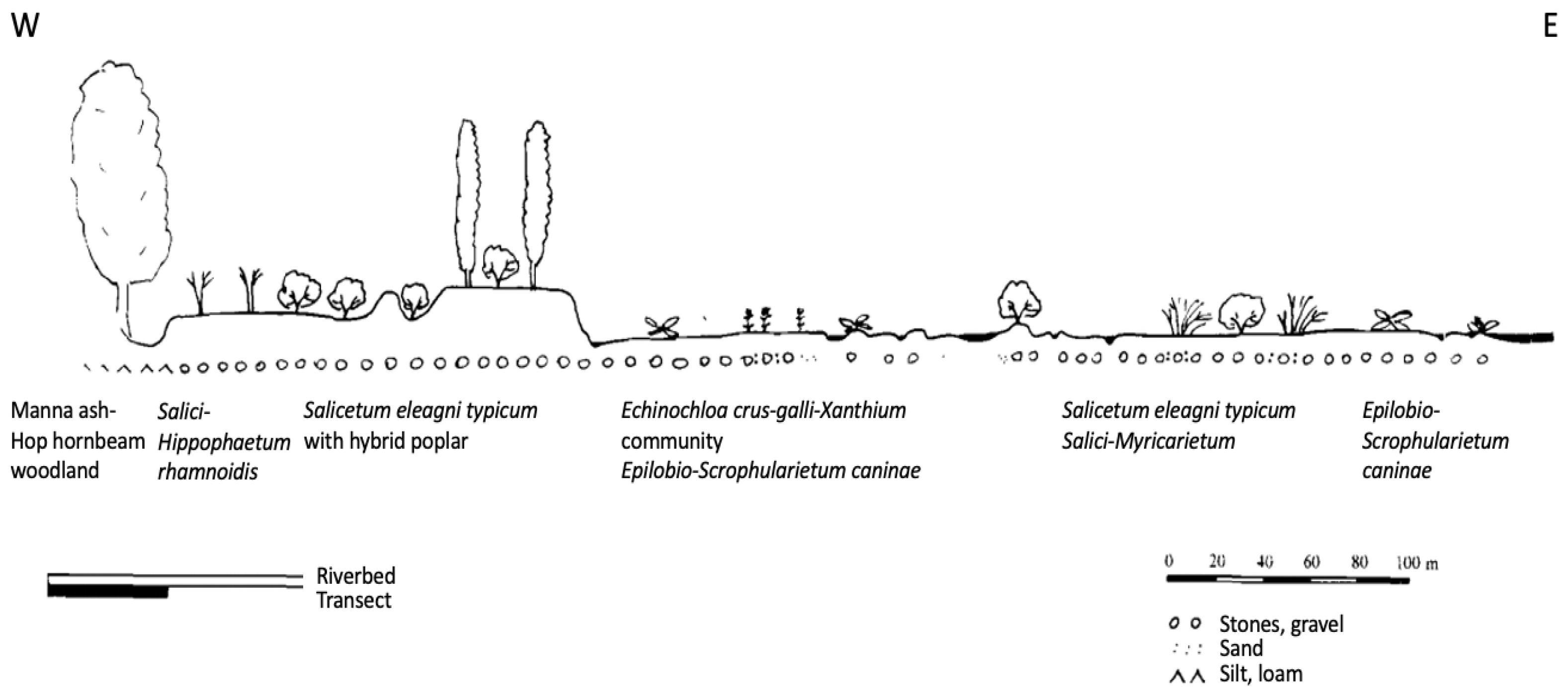 Land 12 00378 g005 Land 12 00378 g005