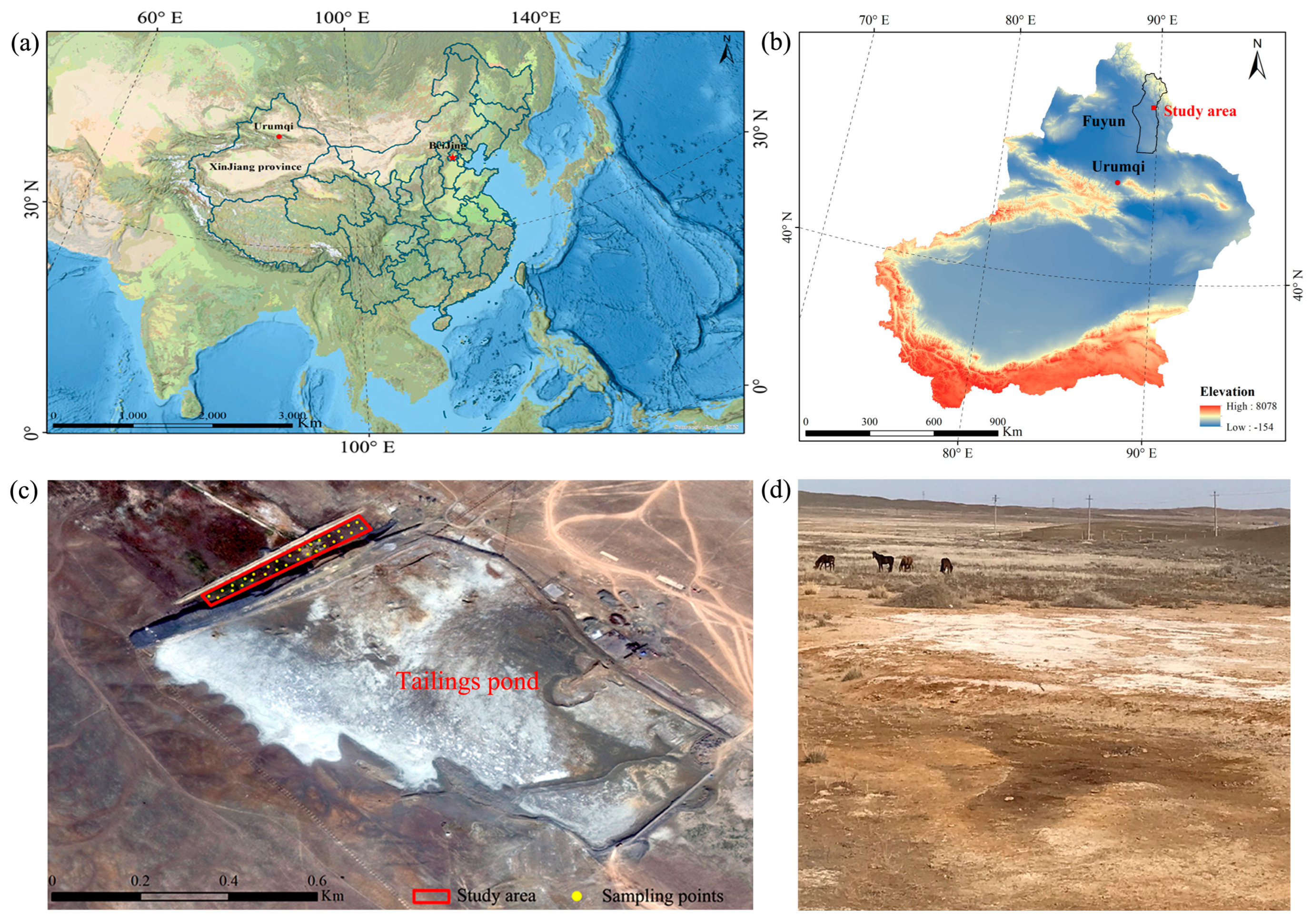 Land 12 00467 g001 Land 12 00467 g001