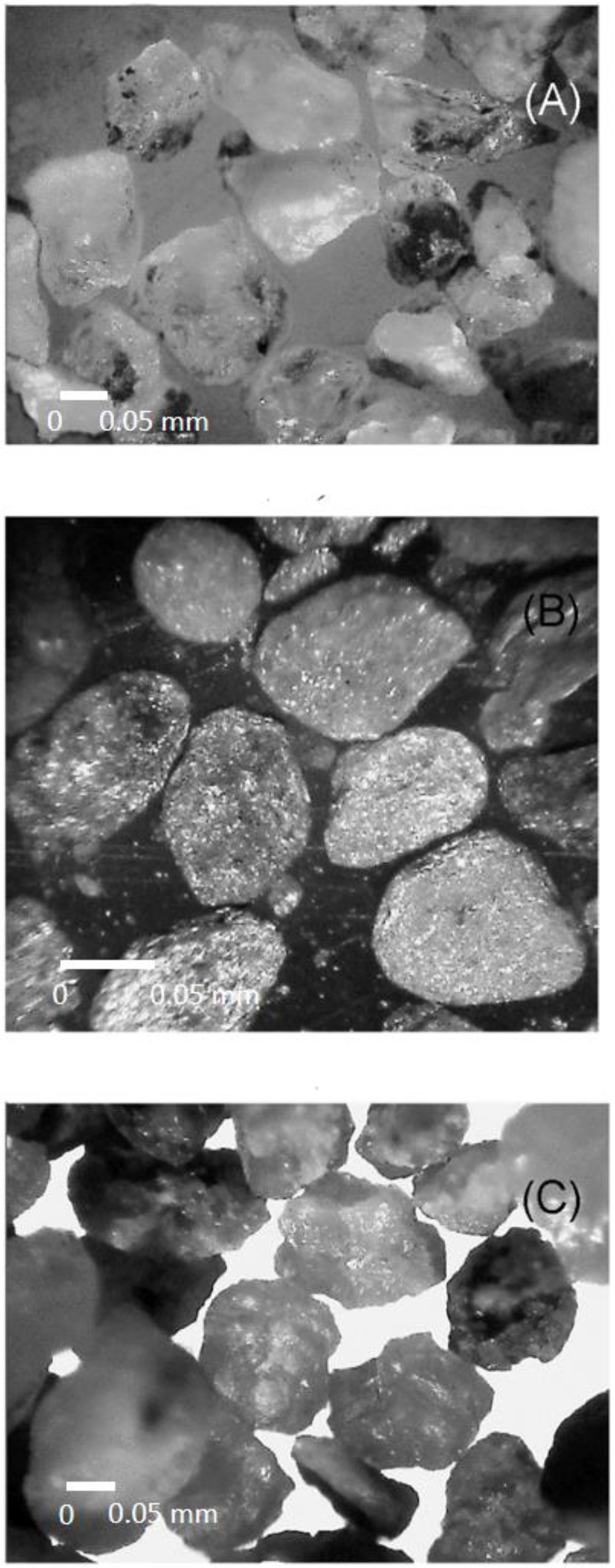 Land 12 00535 g004 Land 12 00535 g004