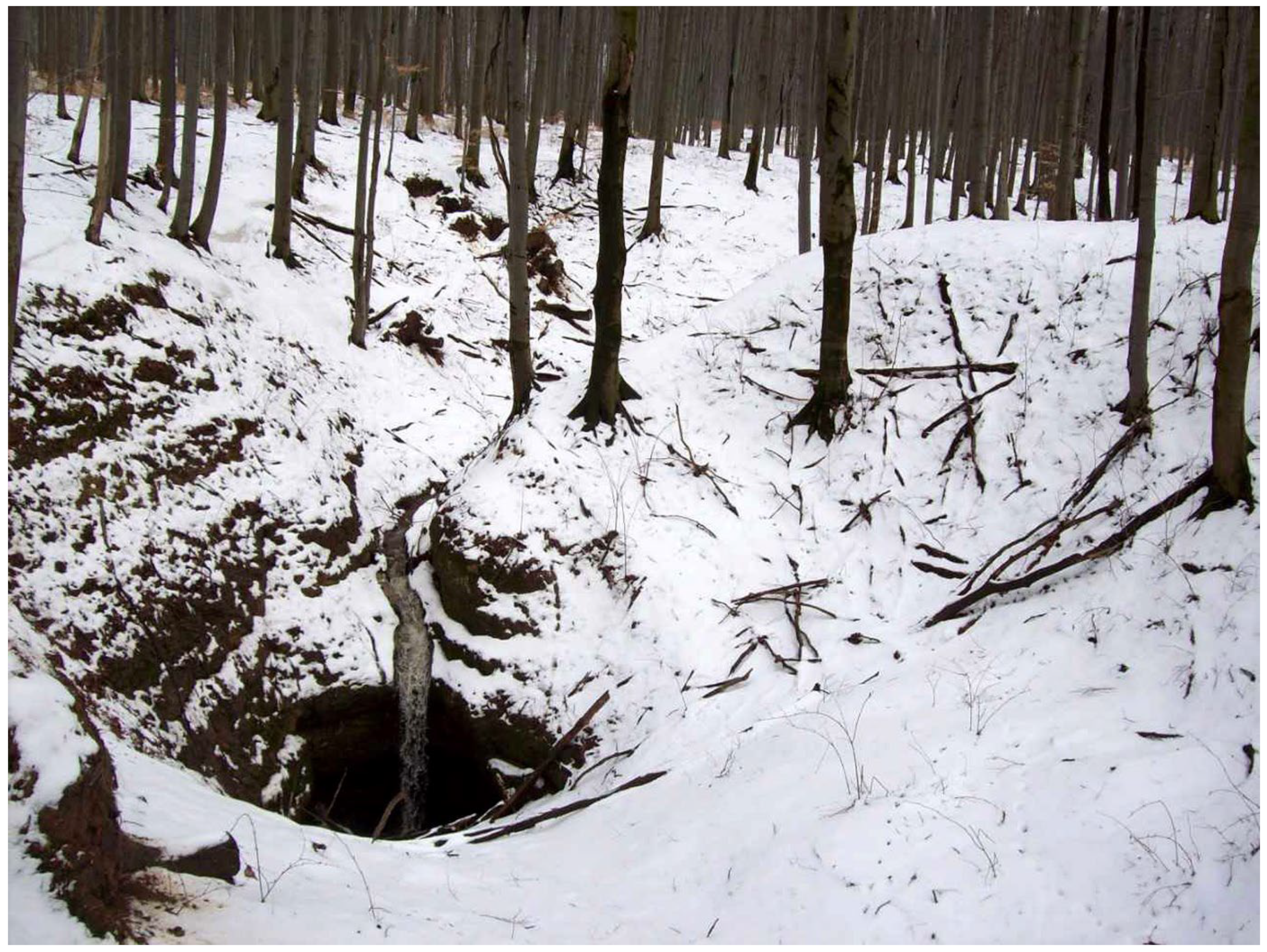 Land 12 00682 g008 Land 12 00682 g008