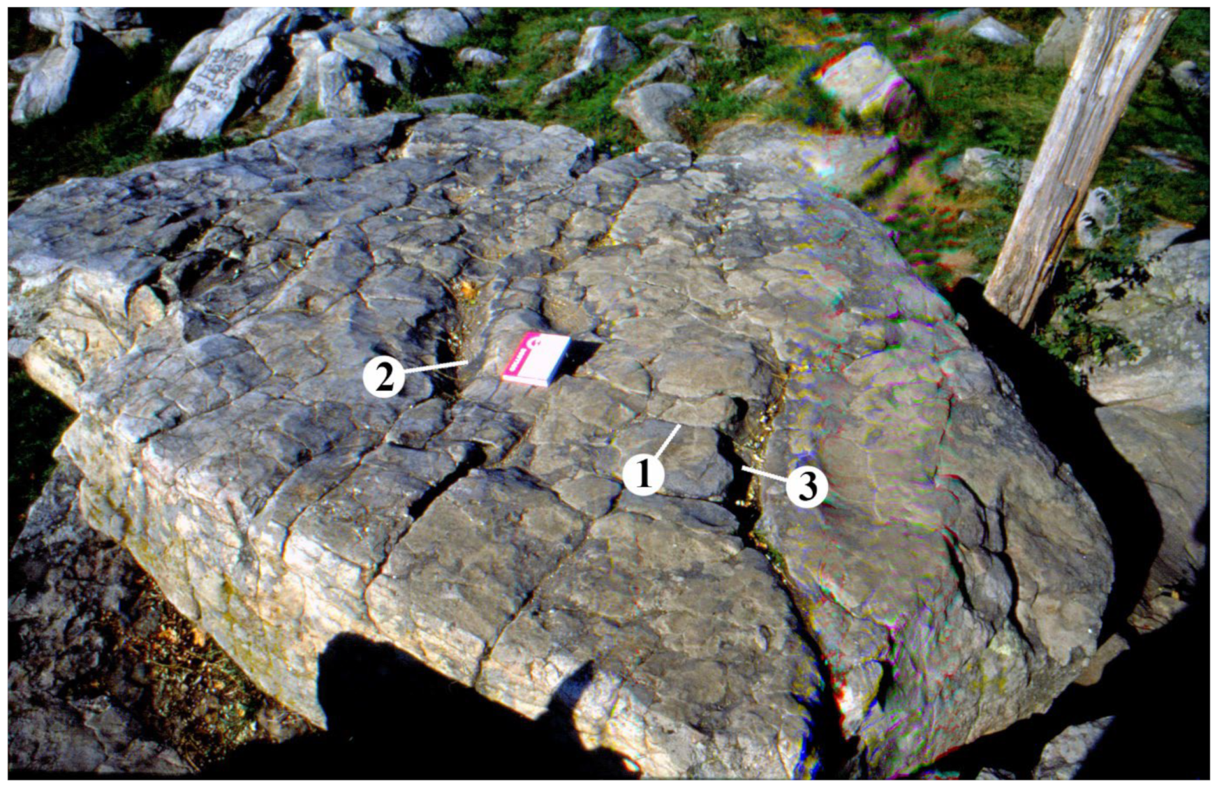 Land 12 00682 g010 Land 12 00682 g010