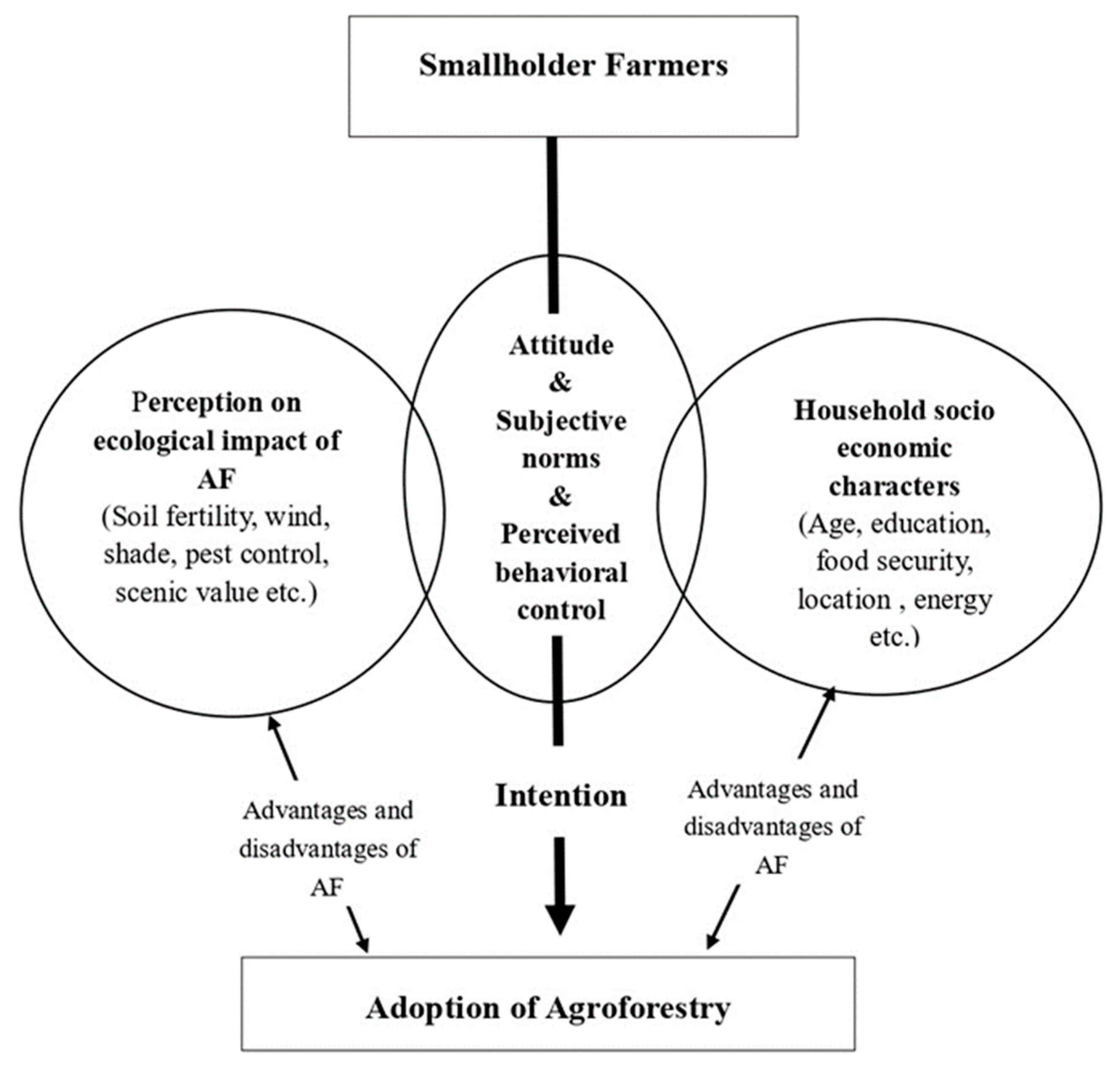 Land 12 00813 g001 Land 12 00813 g001