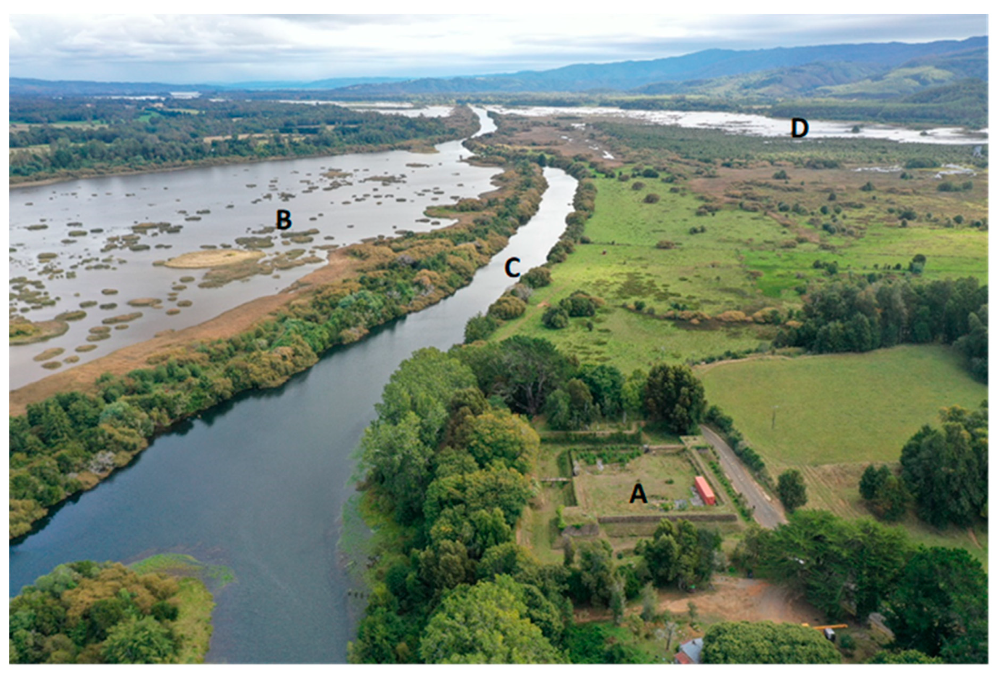 Land 12 00857 g003 Land 12 00857 g003