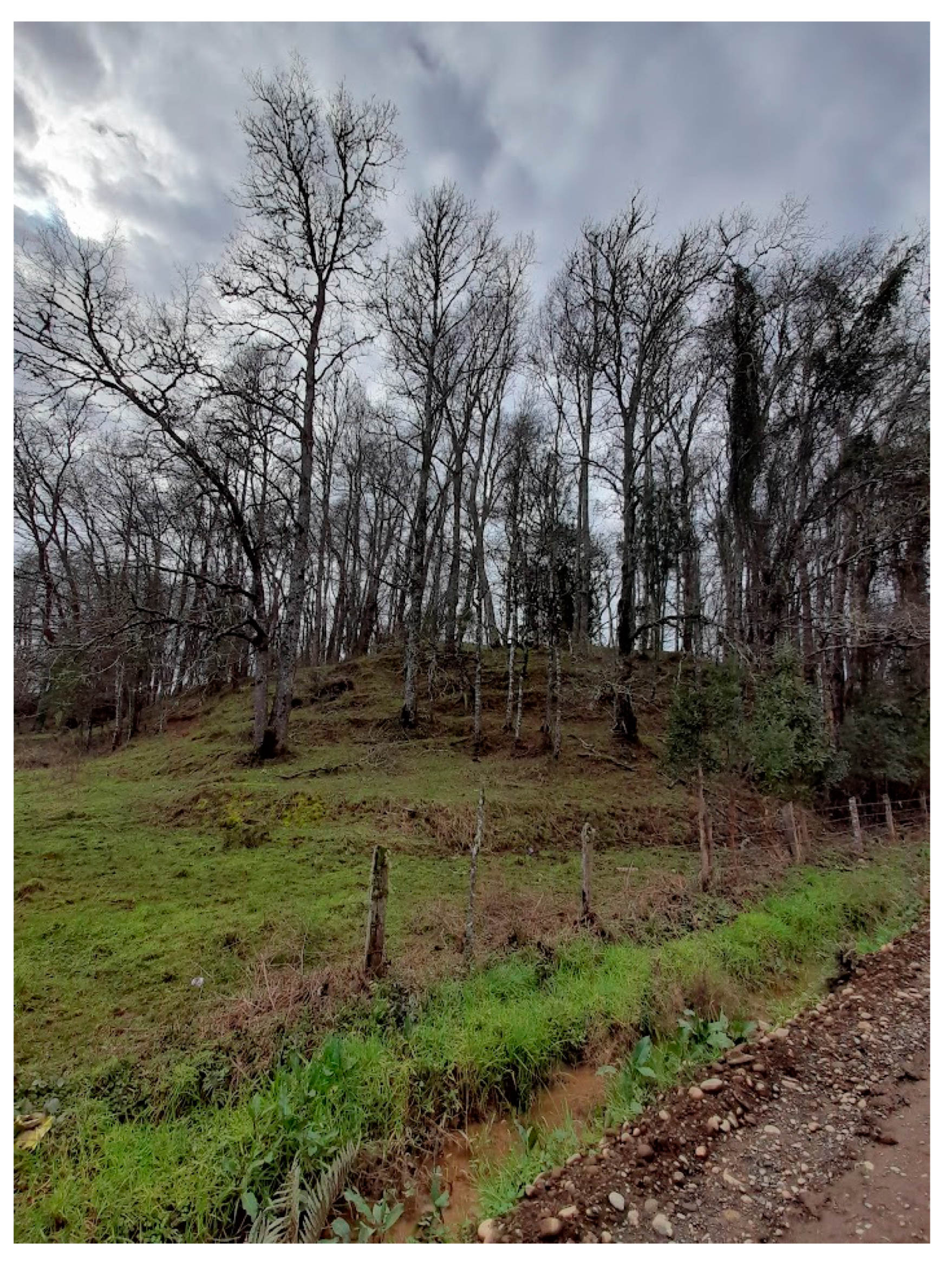 Land 12 00857 g006 Land 12 00857 g006