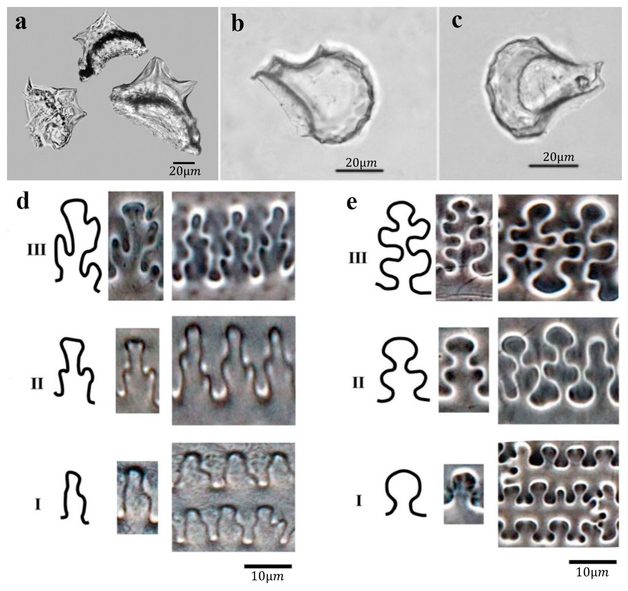 Land 12 01158 g001 Land 12 01158 g001