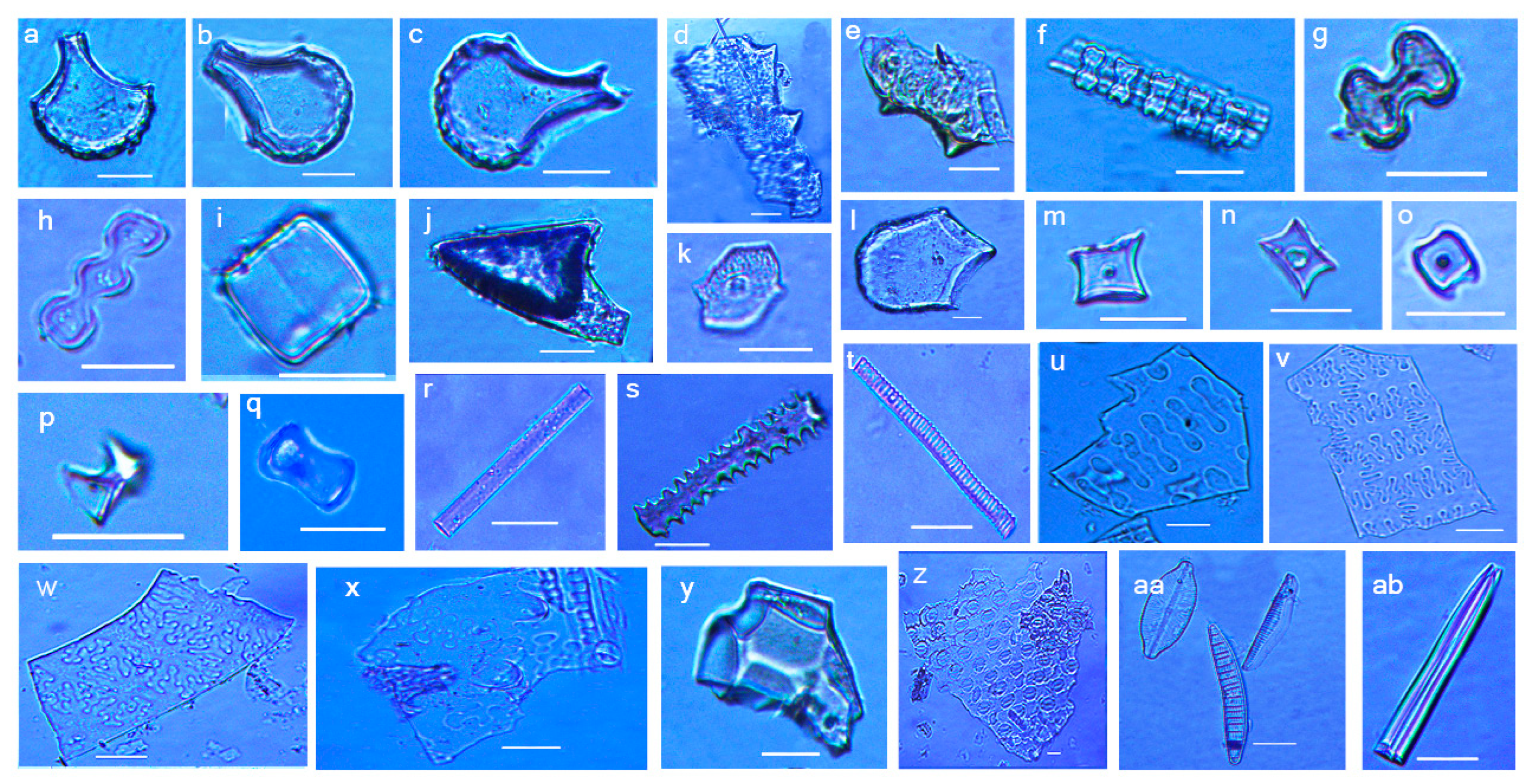 Land 12 01158 g005 Land 12 01158 g005