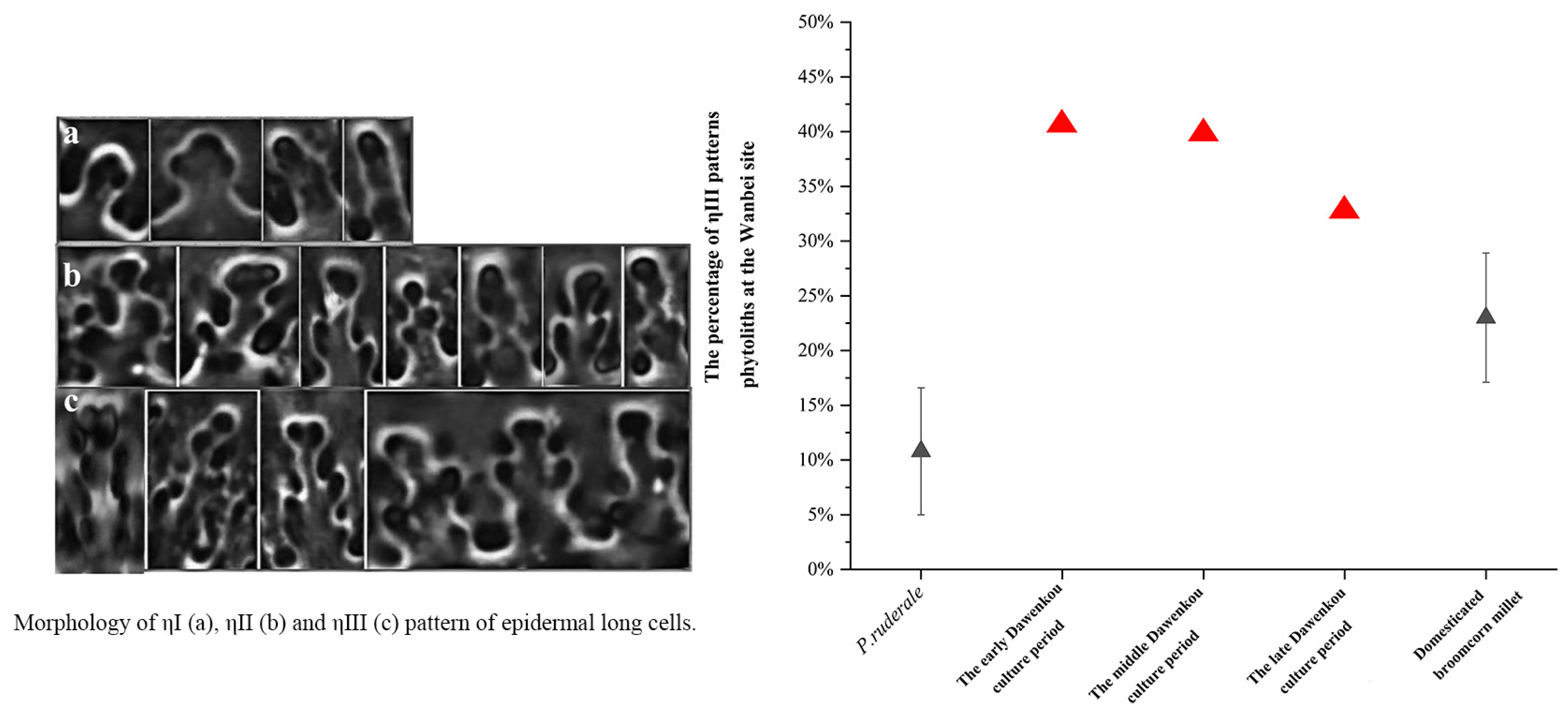 Land 12 01158 g008 Land 12 01158 g008