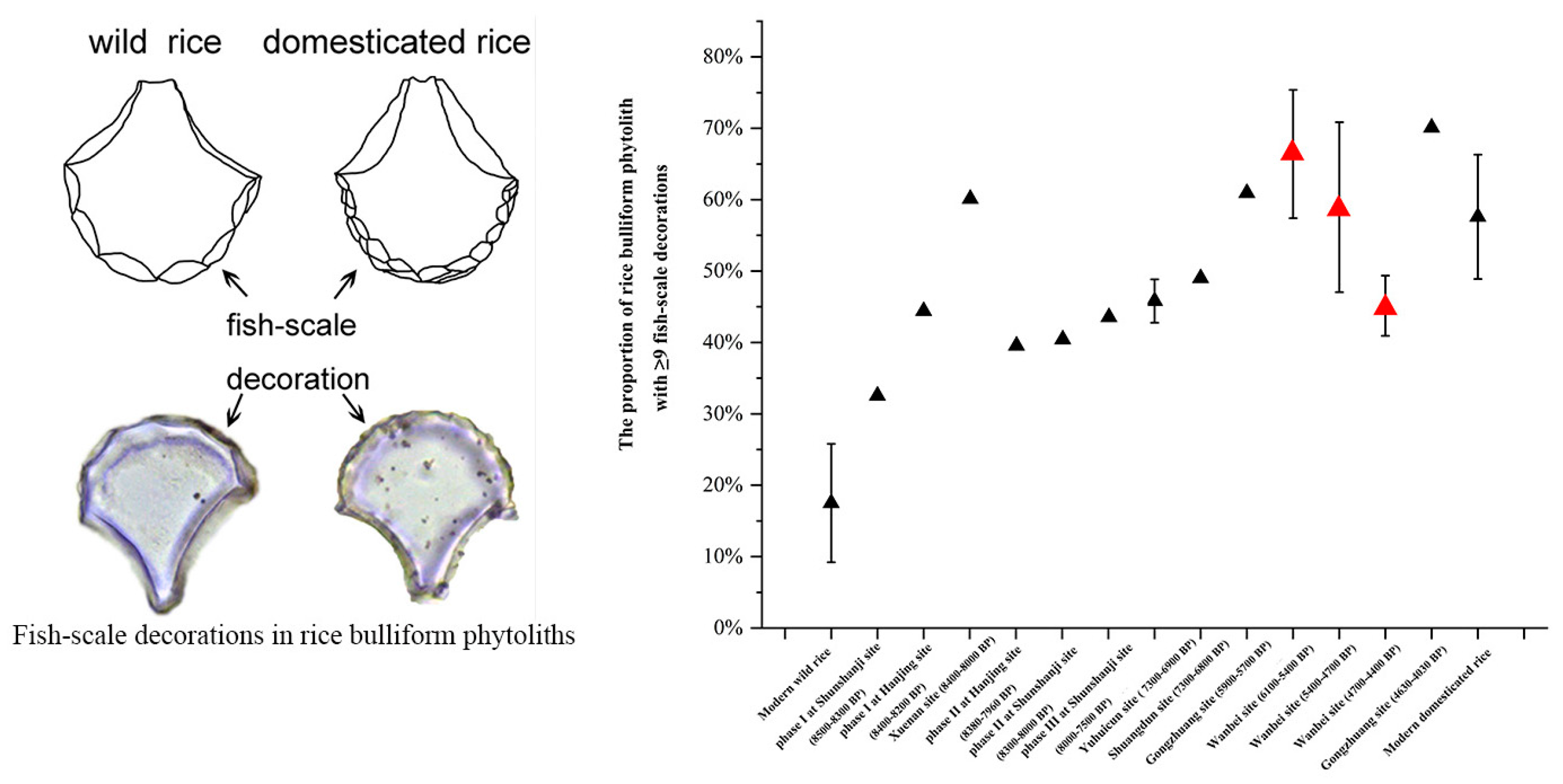 Land 12 01158 g009 Land 12 01158 g009