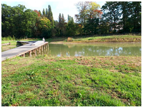 Land 12 01186 i001 Land 12 01186 i001