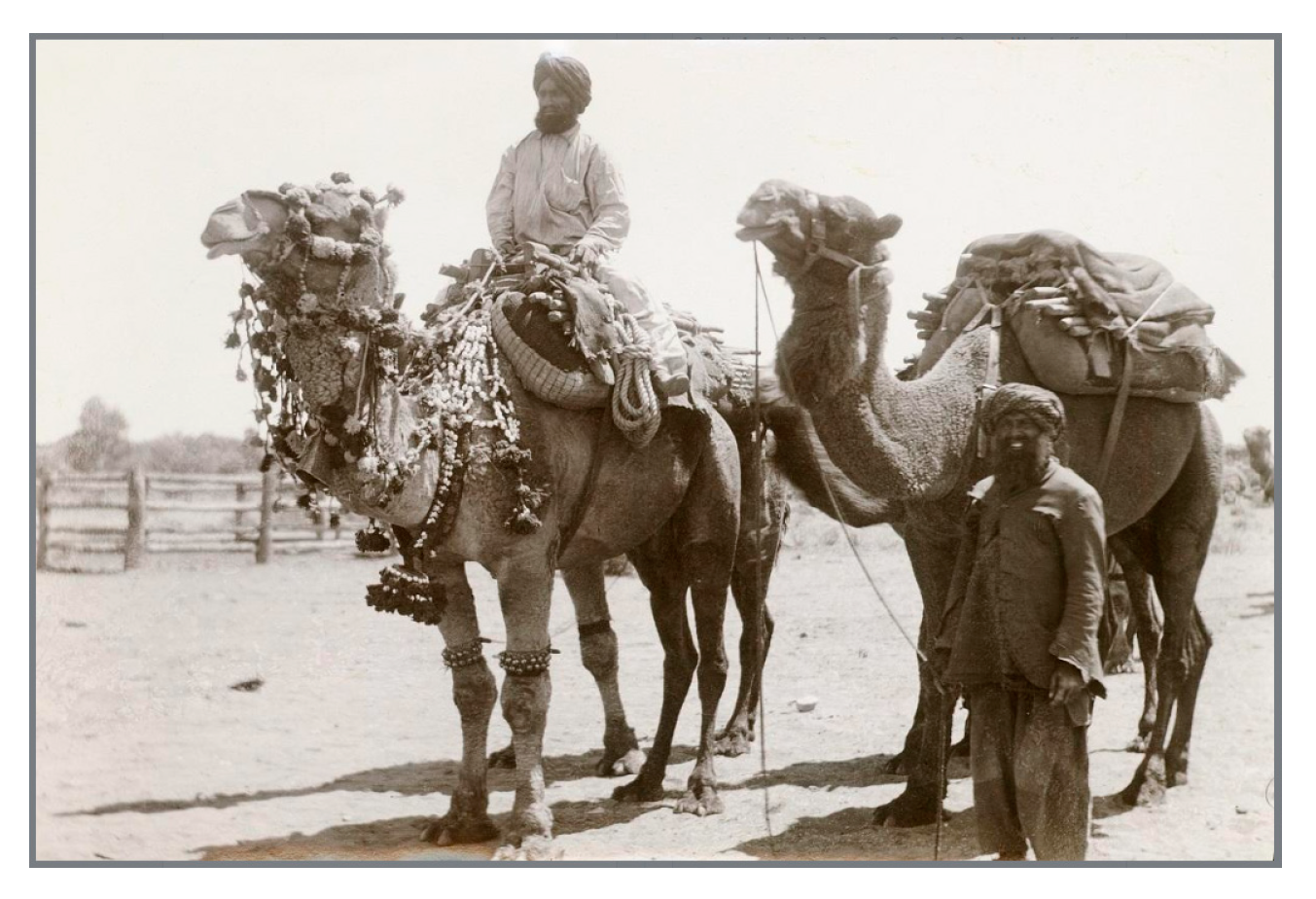 Land 12 01190 g012 Land 12 01190 g012