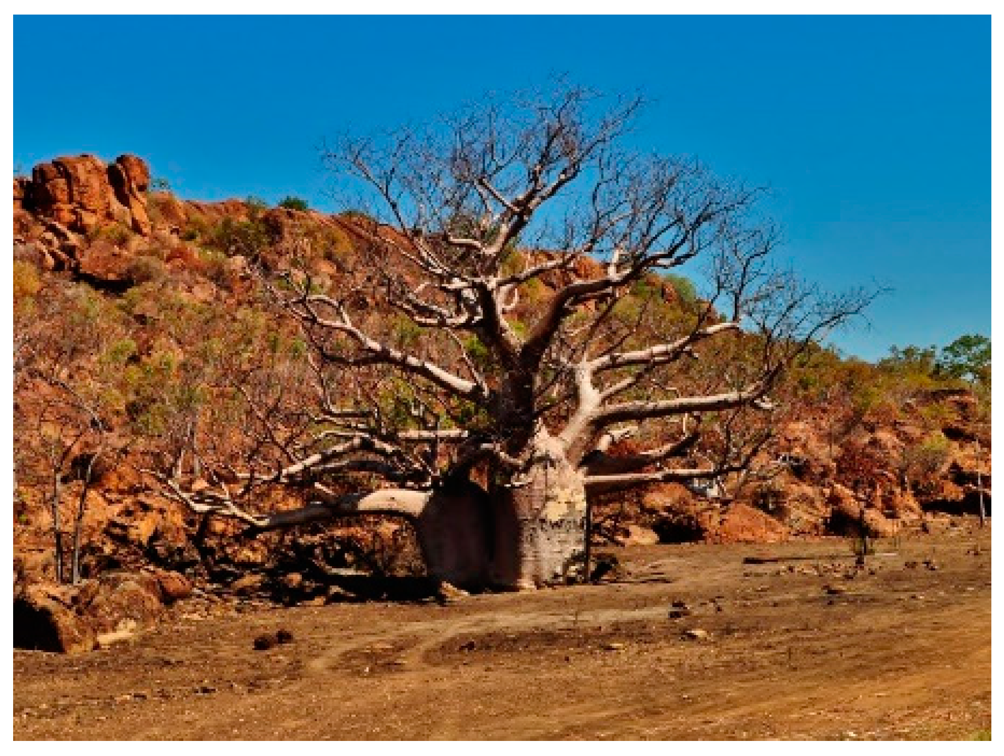 Land 12 01190 g017 Land 12 01190 g017