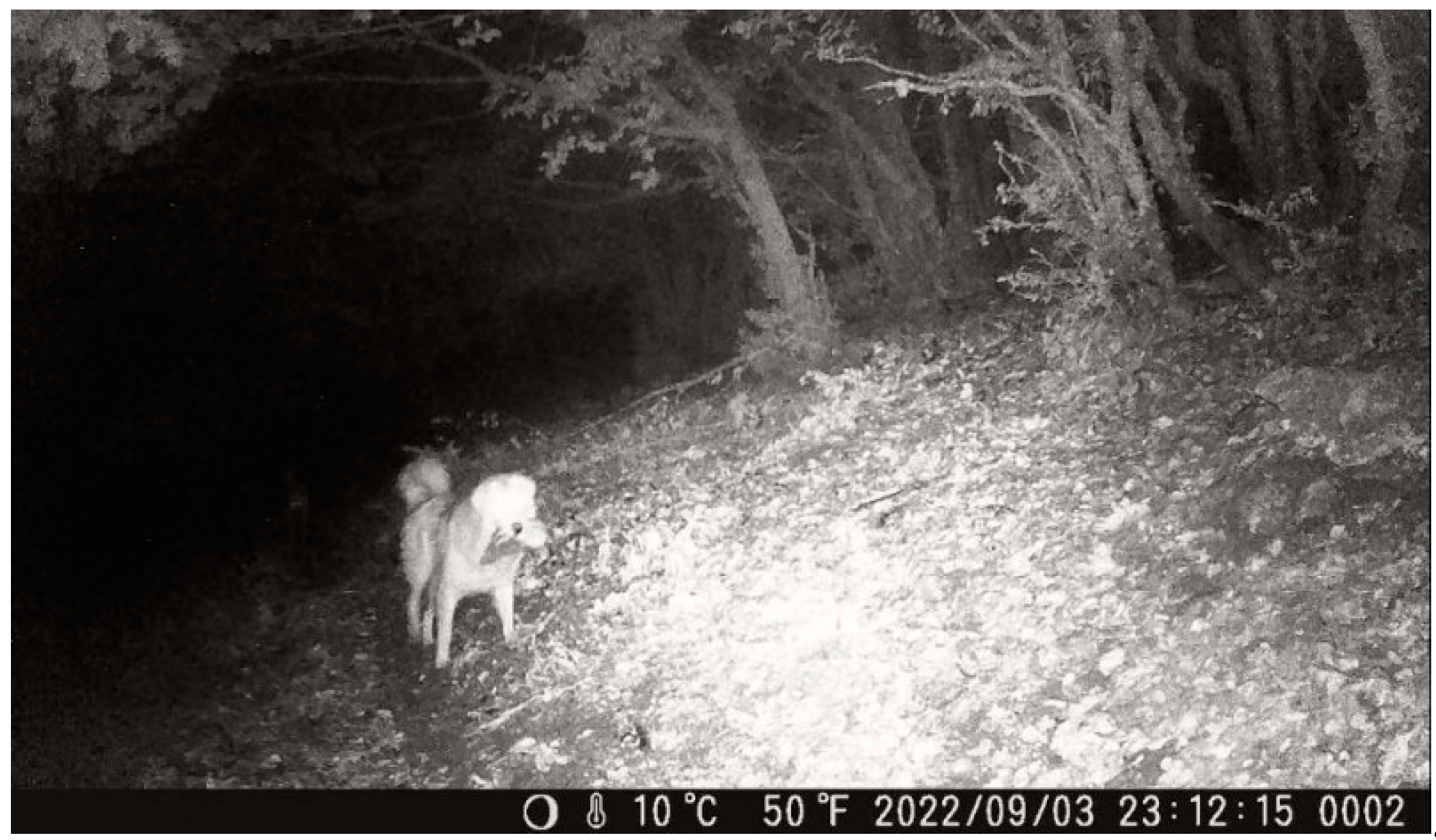 Land 12 01316 g008 Land 12 01316 g008