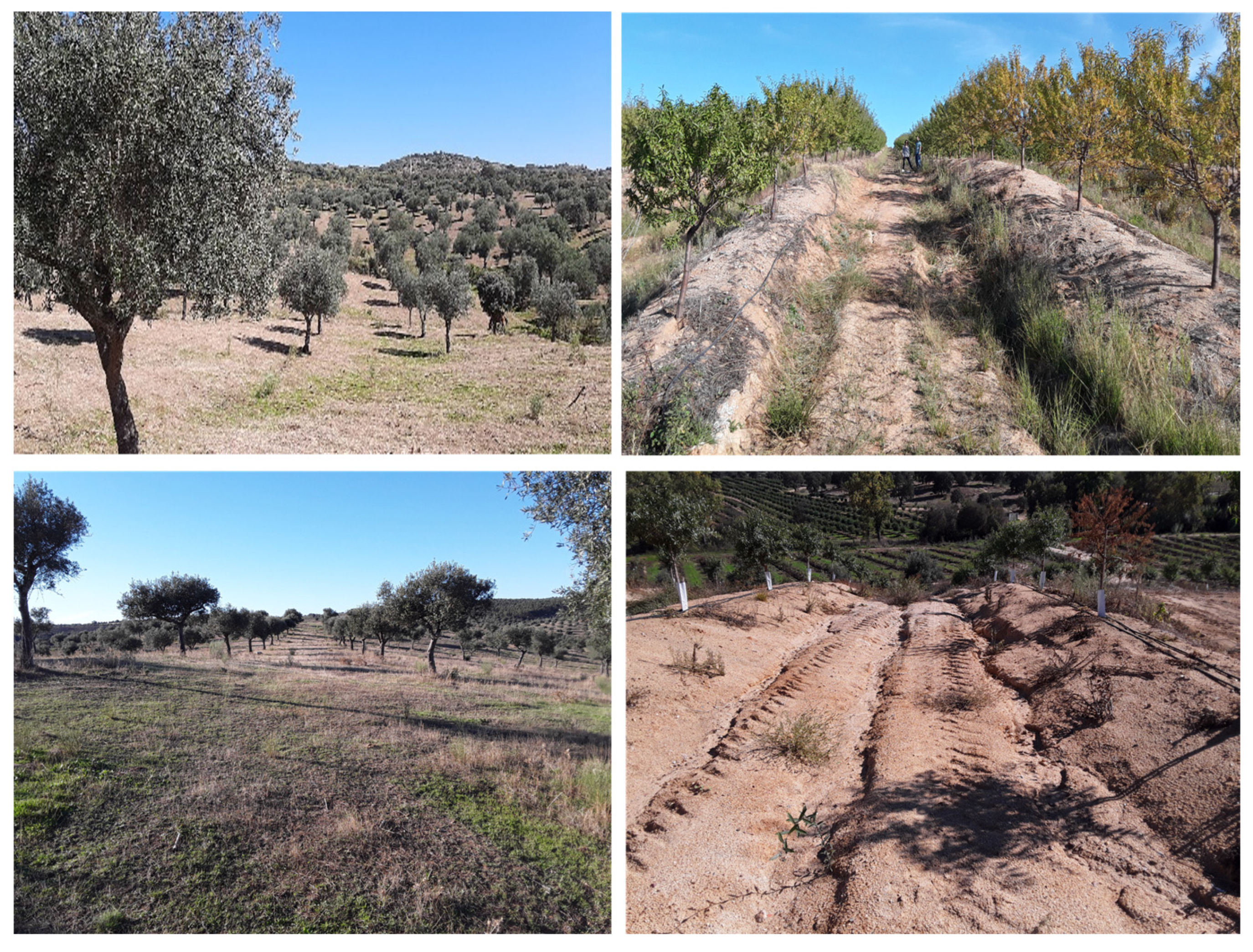 Land 12 01591 g003 Land 12 01591 g003