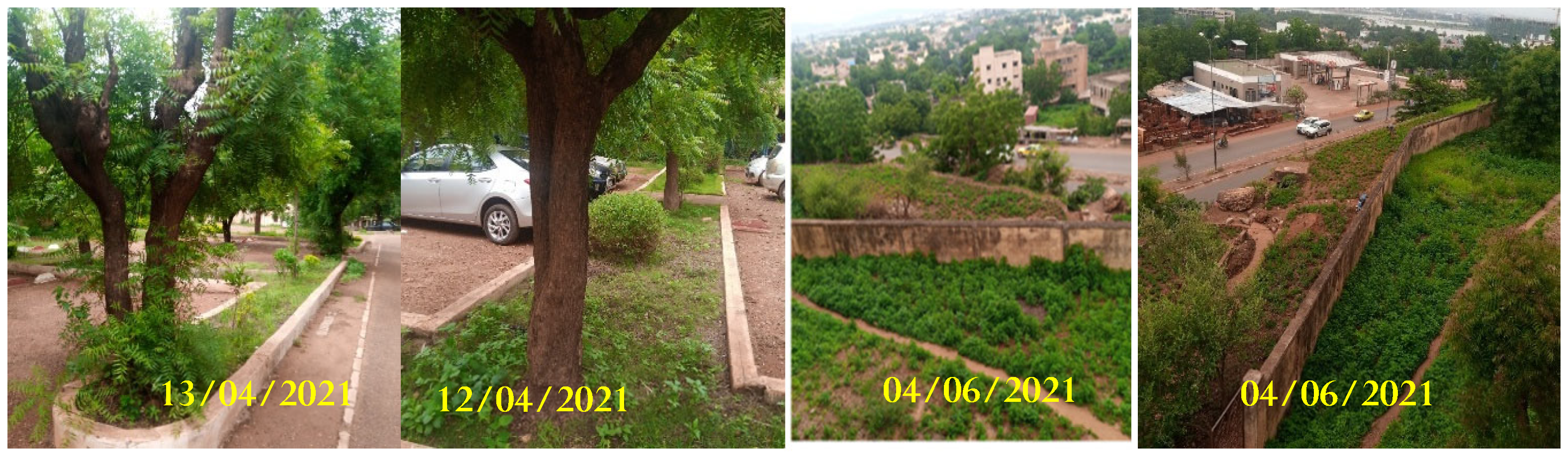 Land 13 00059 sch002