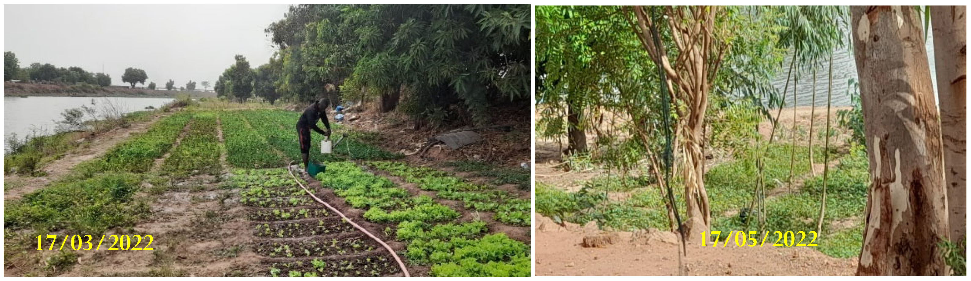 Land 13 00059 sch003