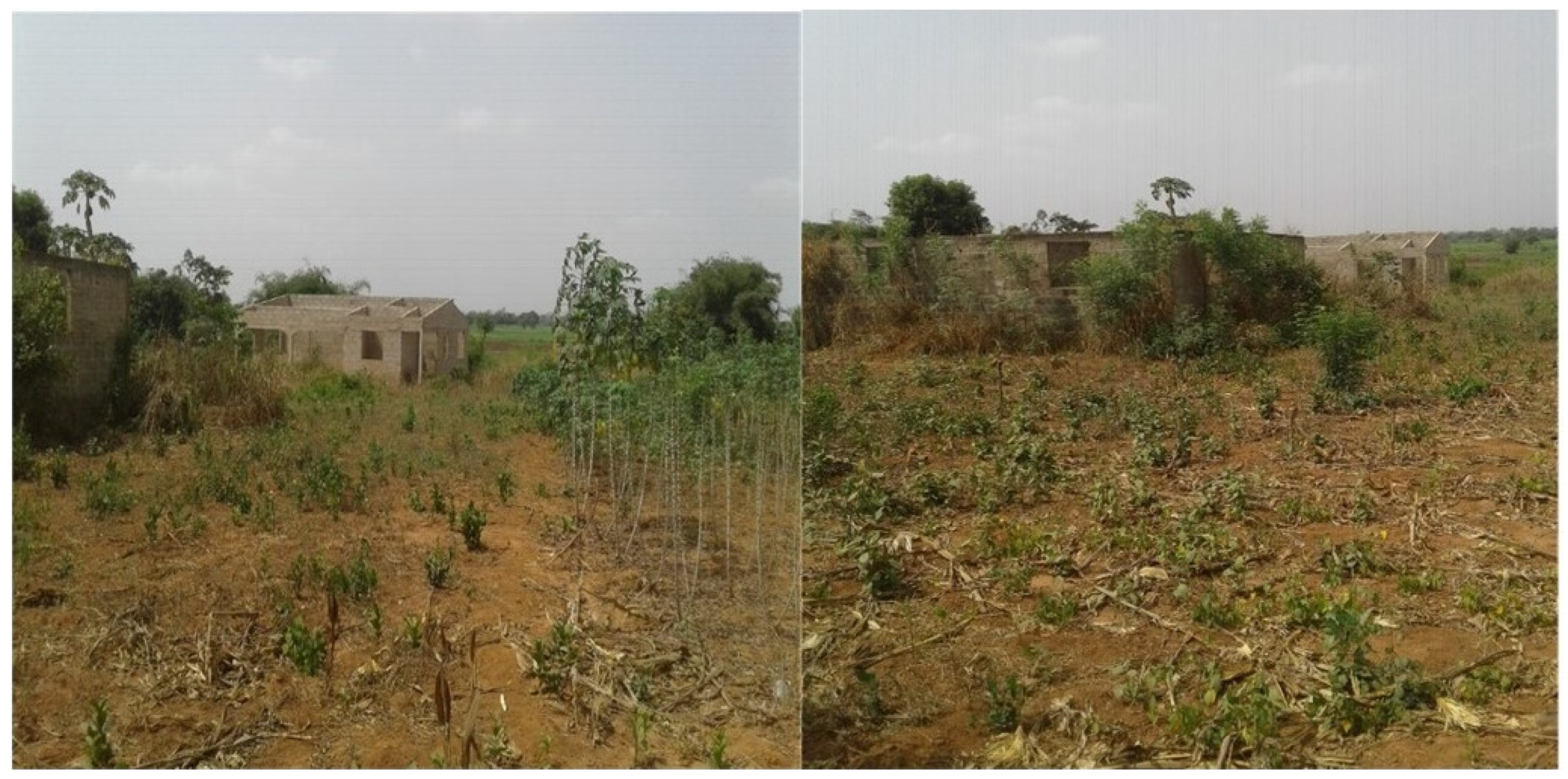 Land 13 00084 g005 Land 13 00084 g005