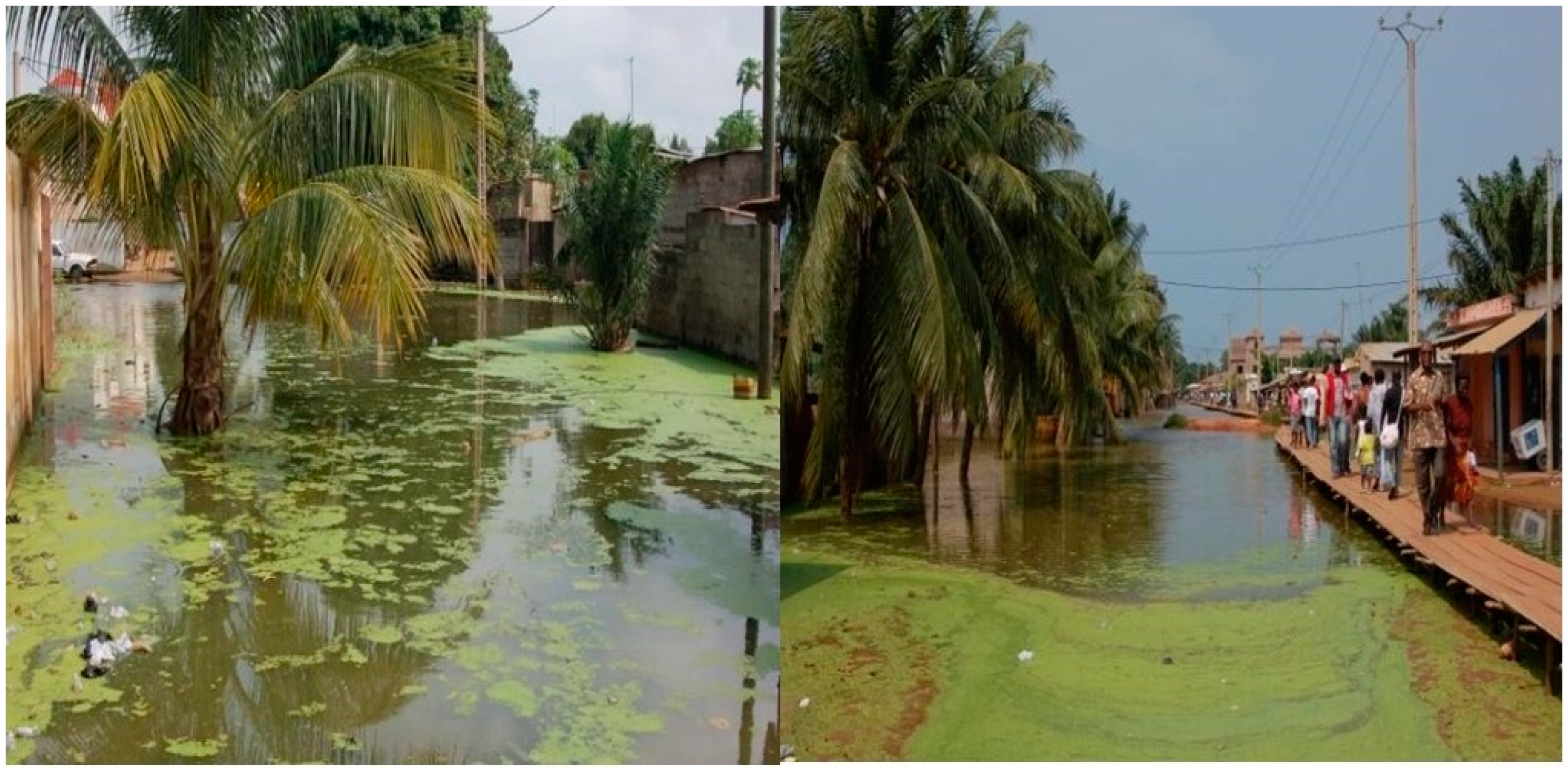 Land 13 00084 g006 Land 13 00084 g006