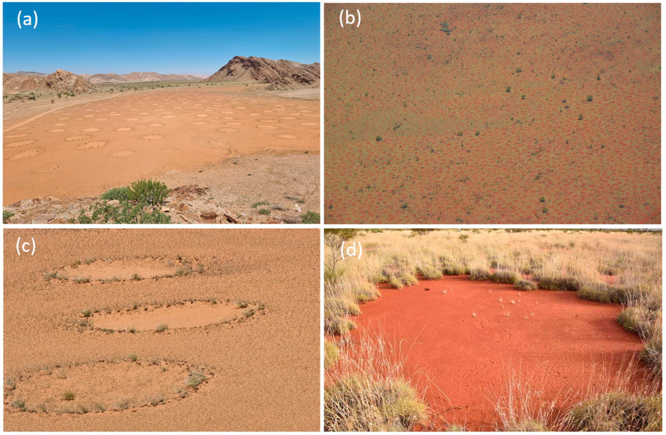 Land 13 00197 g001 Land 13 00197 g001