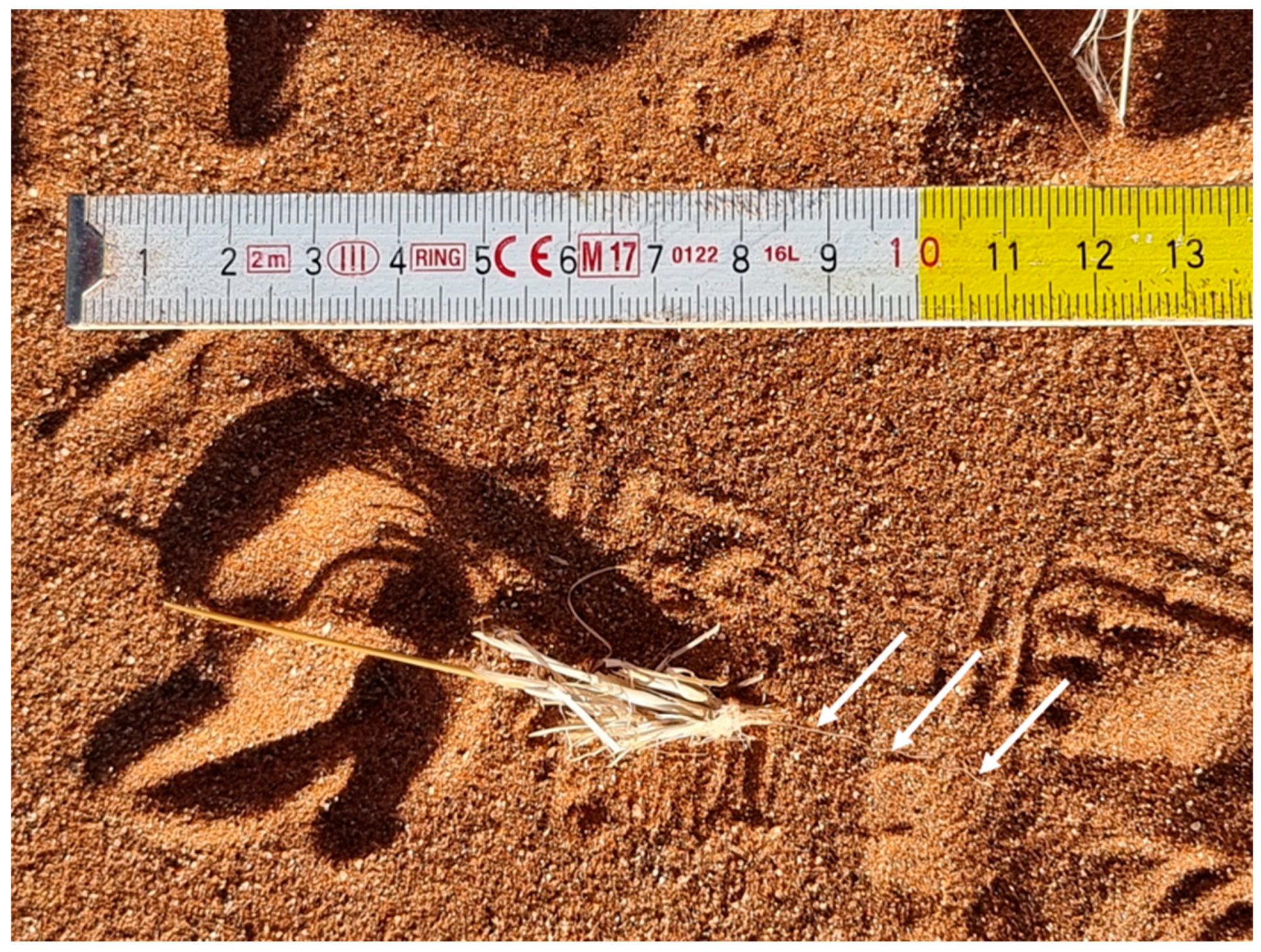 Land 13 00197 g013 Land 13 00197 g013