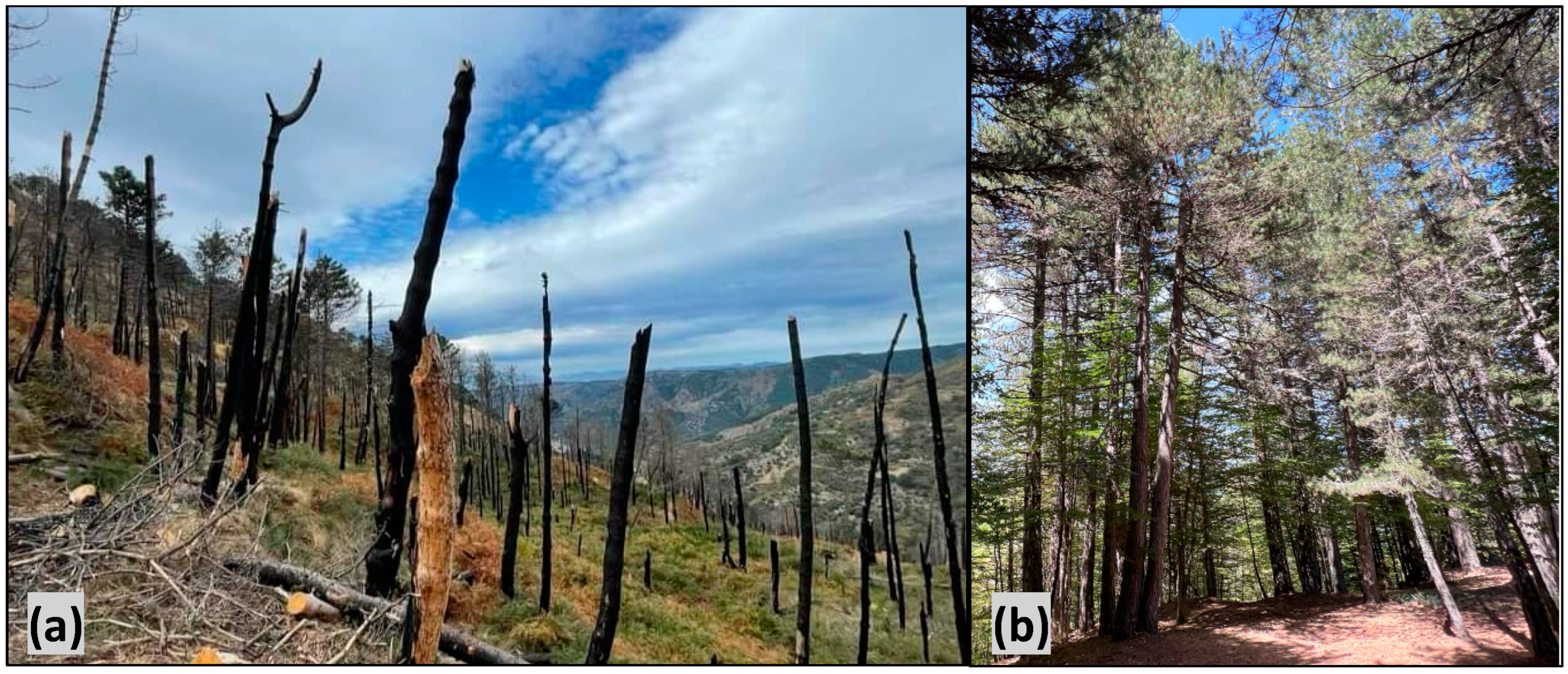 Land 13 00236 sch001