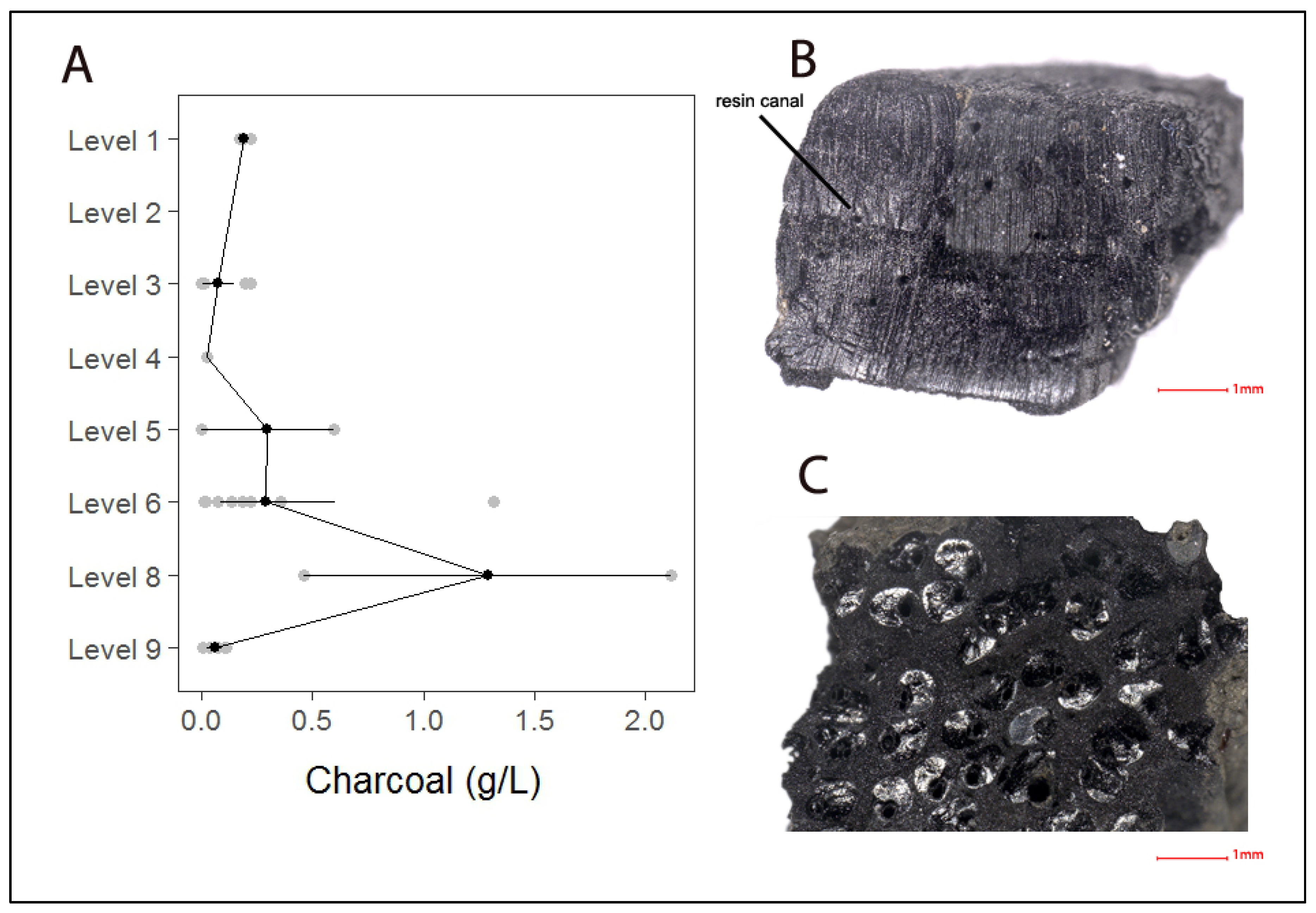 Land 13 00237 g003 Land 13 00237 g003