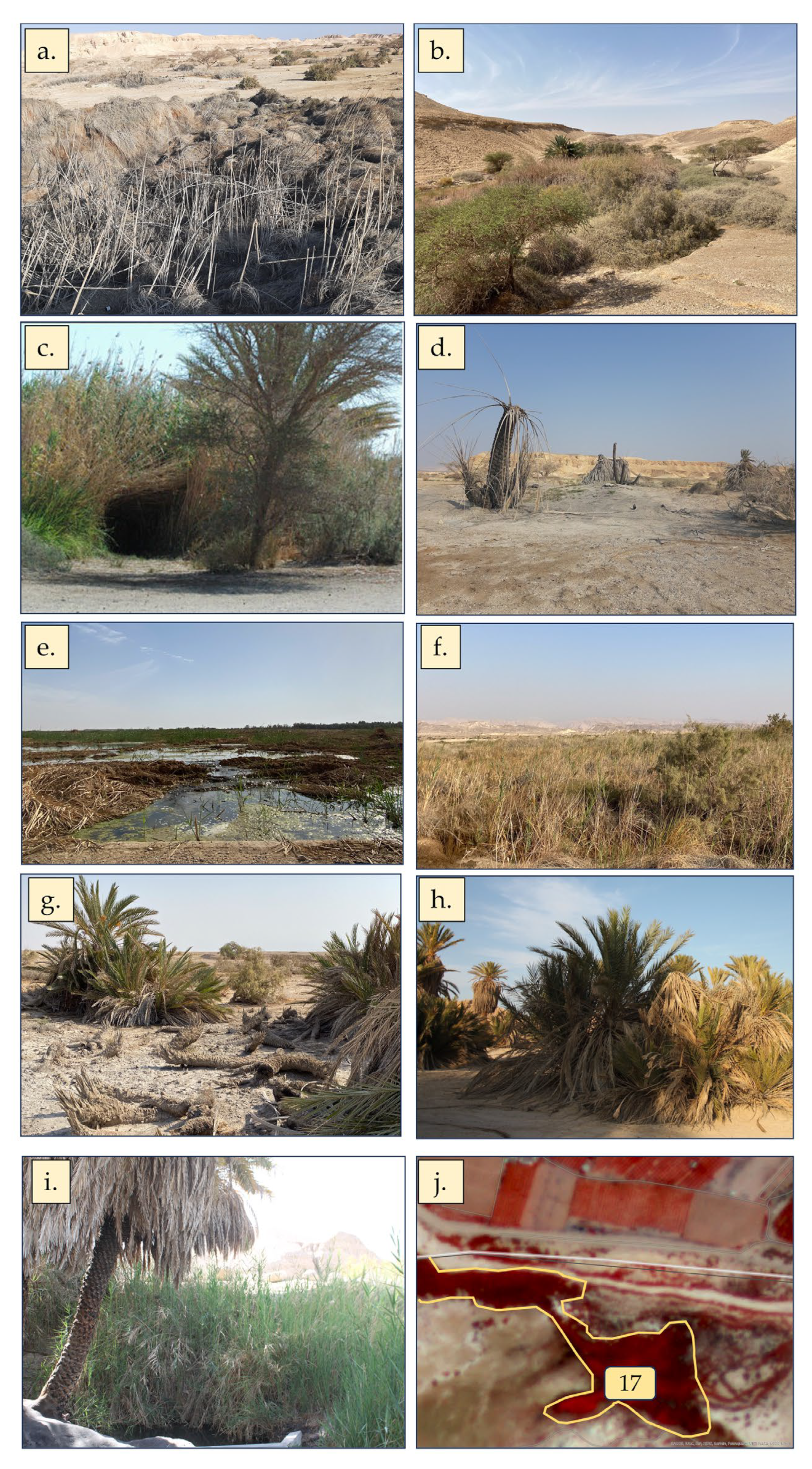 Land 13 00361 g006 Land 13 00361 g006