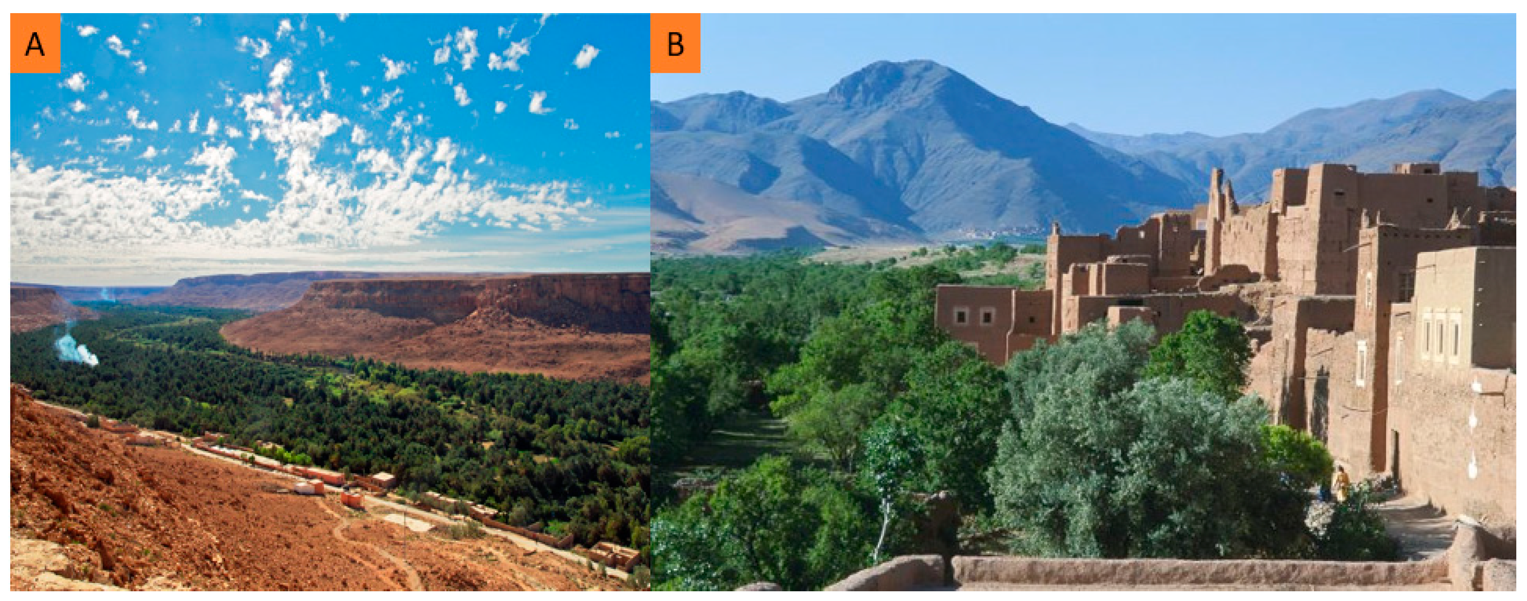 Land 13 00482 g003 Land 13 00482 g003