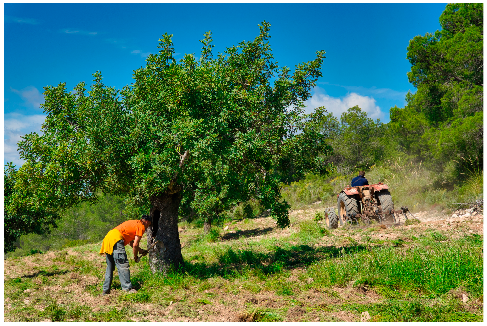 Land 13 00922 g005 Land 13 00922 g005